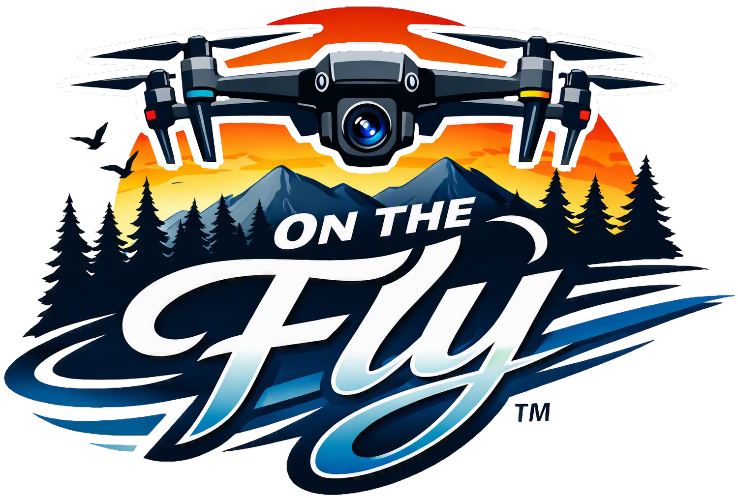 On the Fly