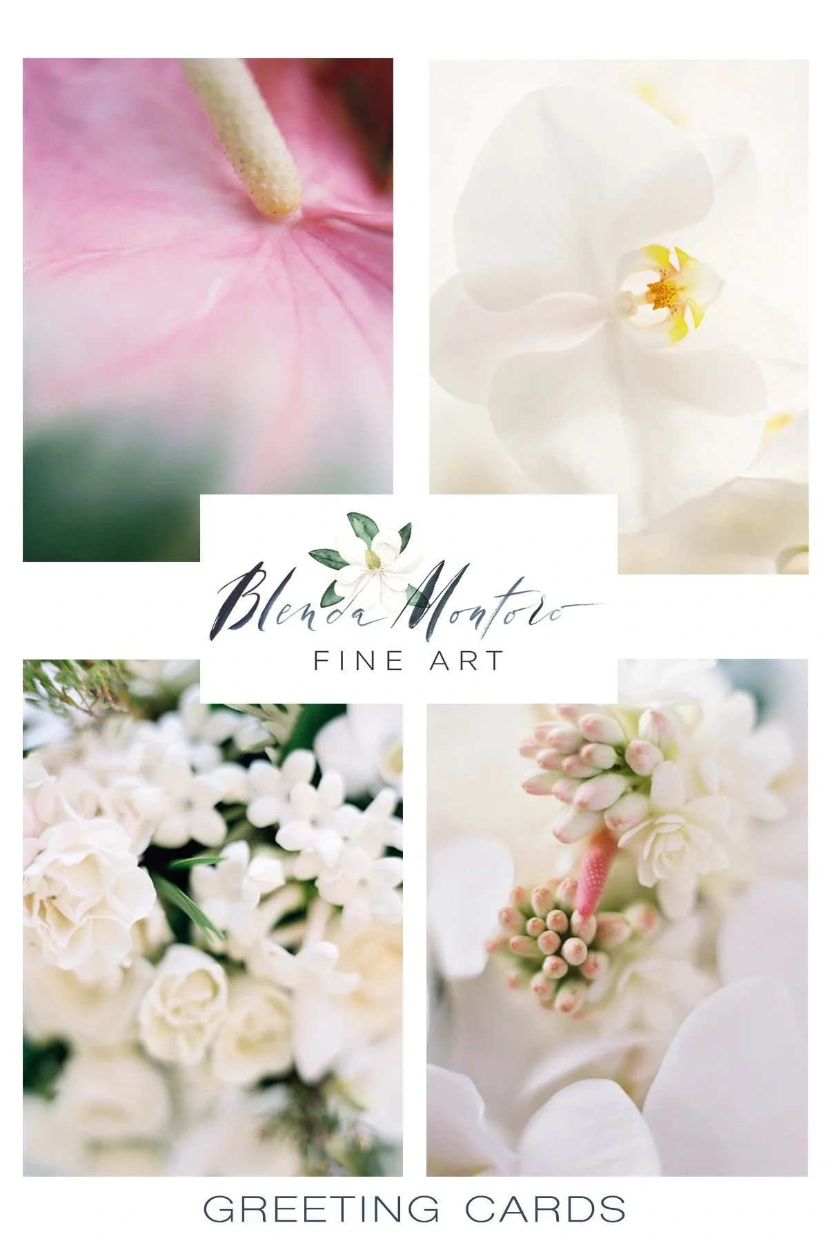 greeting_cards_promo_1.JPG