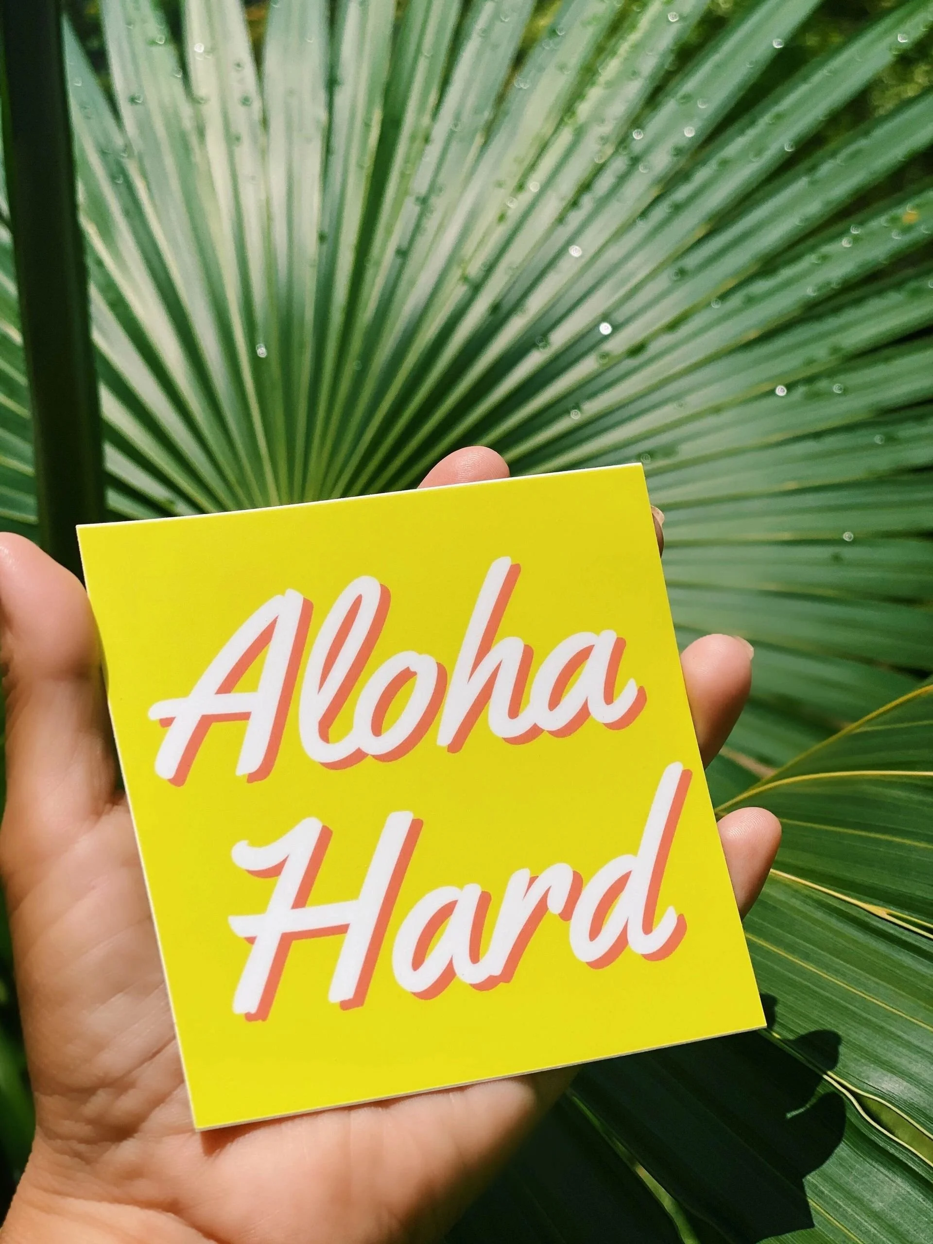 aloha_hard_1_.jpg