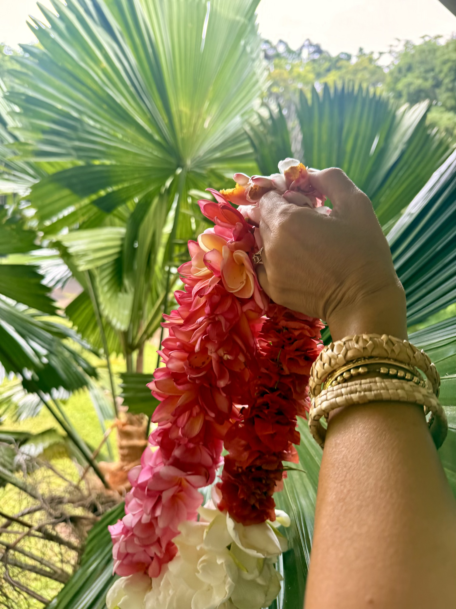 LEIS
