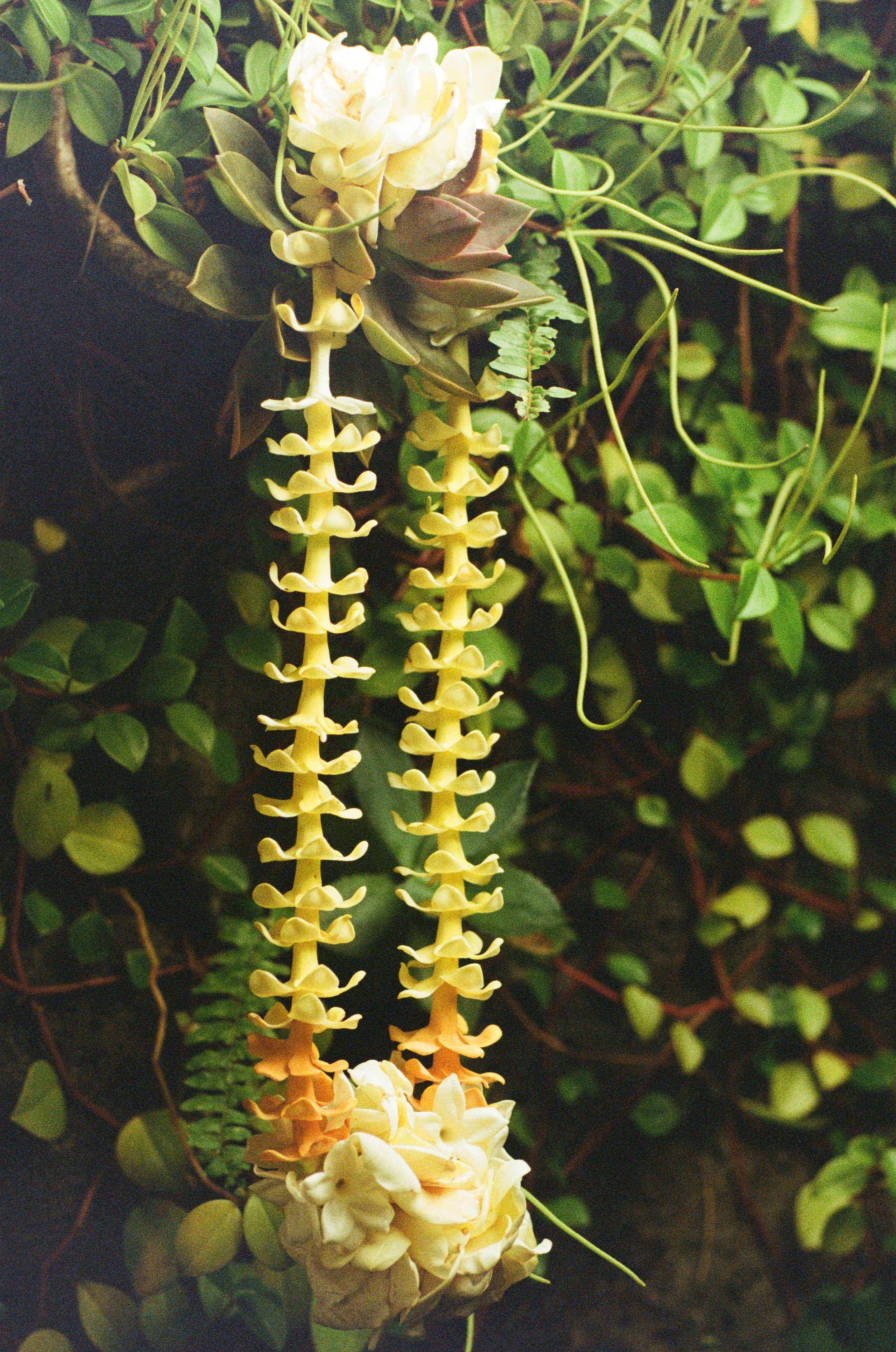 Garden-Gathered Lei