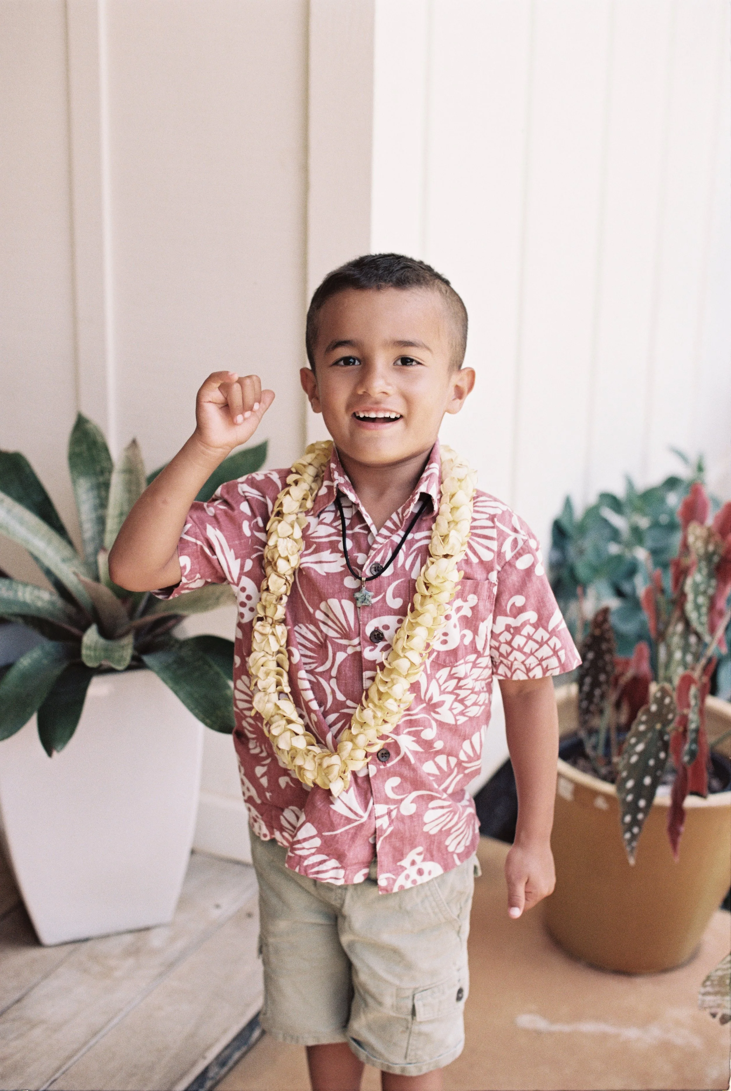 Pua Kenikeni Lei — Garden Collection