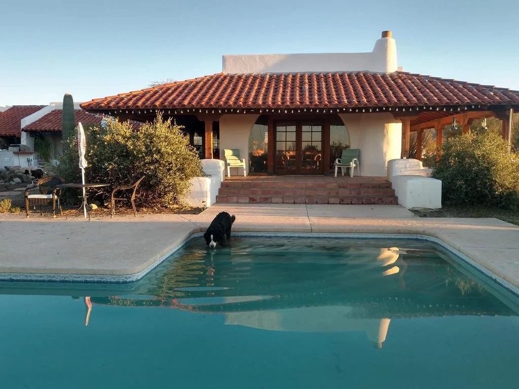 A house with a red tile roof, front porch with chairs and stairs, in a desert-like landscape, with a small swimming pool in the foreground and a black and white dog standing in the pool.