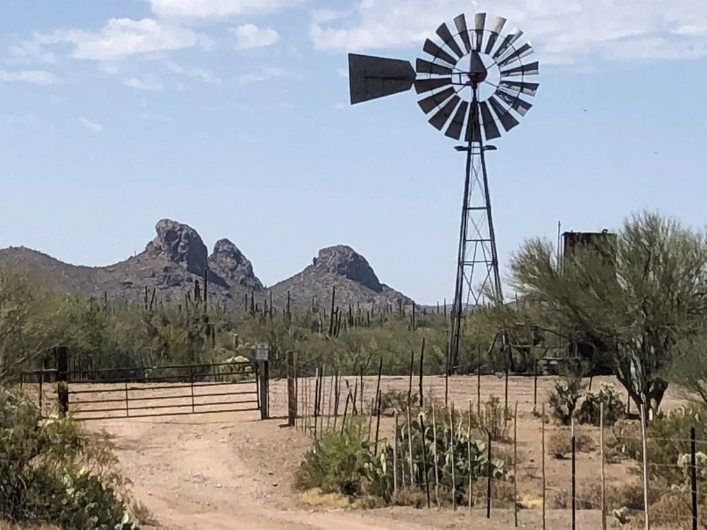 A desert landscape with cacti, shrubs, and a dirt road leading to a metal gate. In the background, there are rocky mountains and a tall windmill.