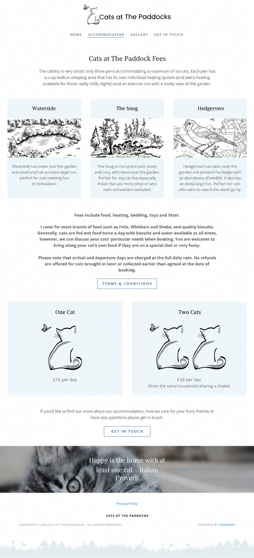 Cats_2.png