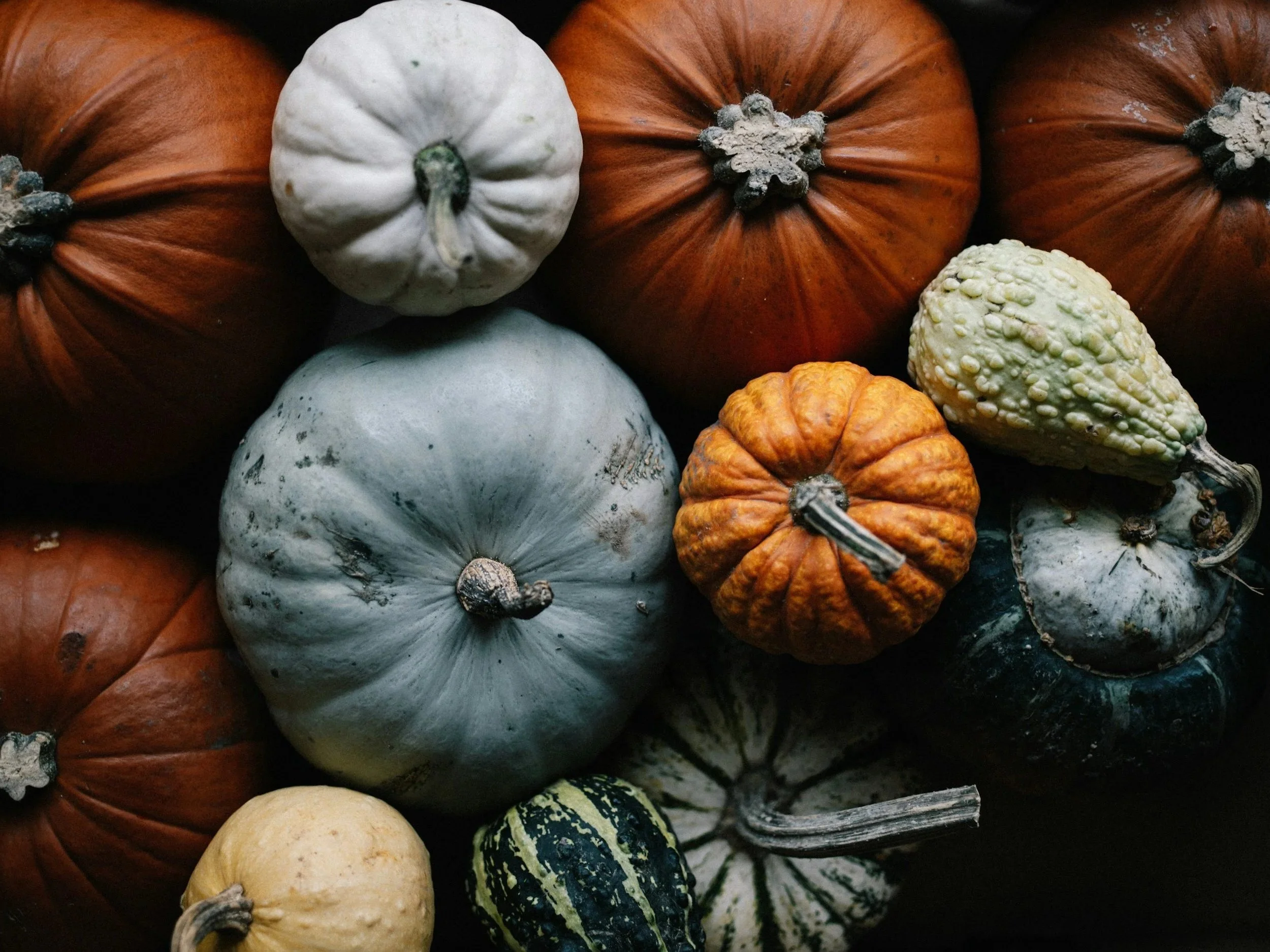 unsplash-image-mSuCFp8mo90.jpg
