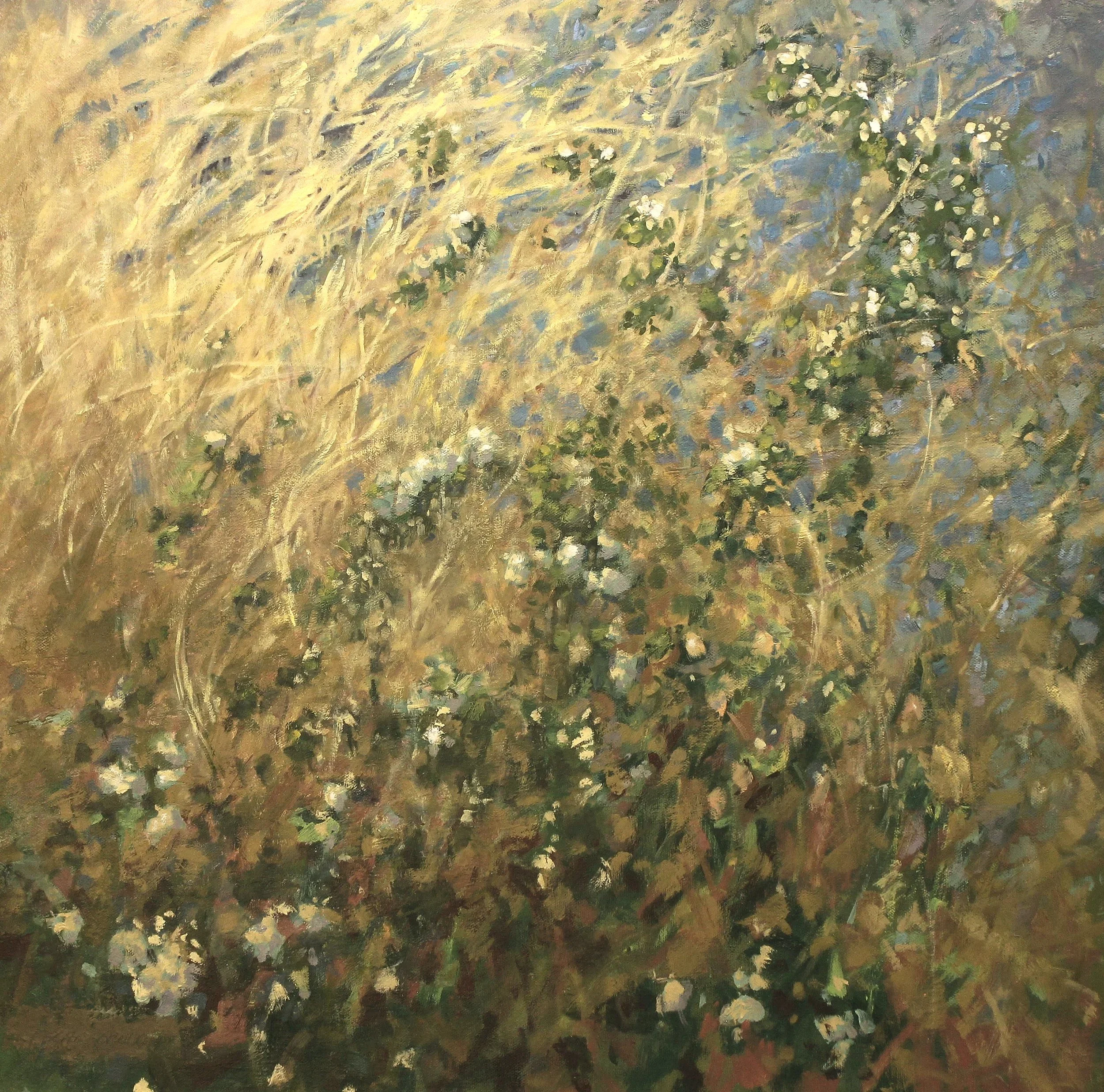 "Culmination of Summer"  
 ©Patricia Scarborough

Knee deep in warm grasses, cool water calling.

24x24   $2000

Available at www.snwgallery.com Manhattan Ks.
