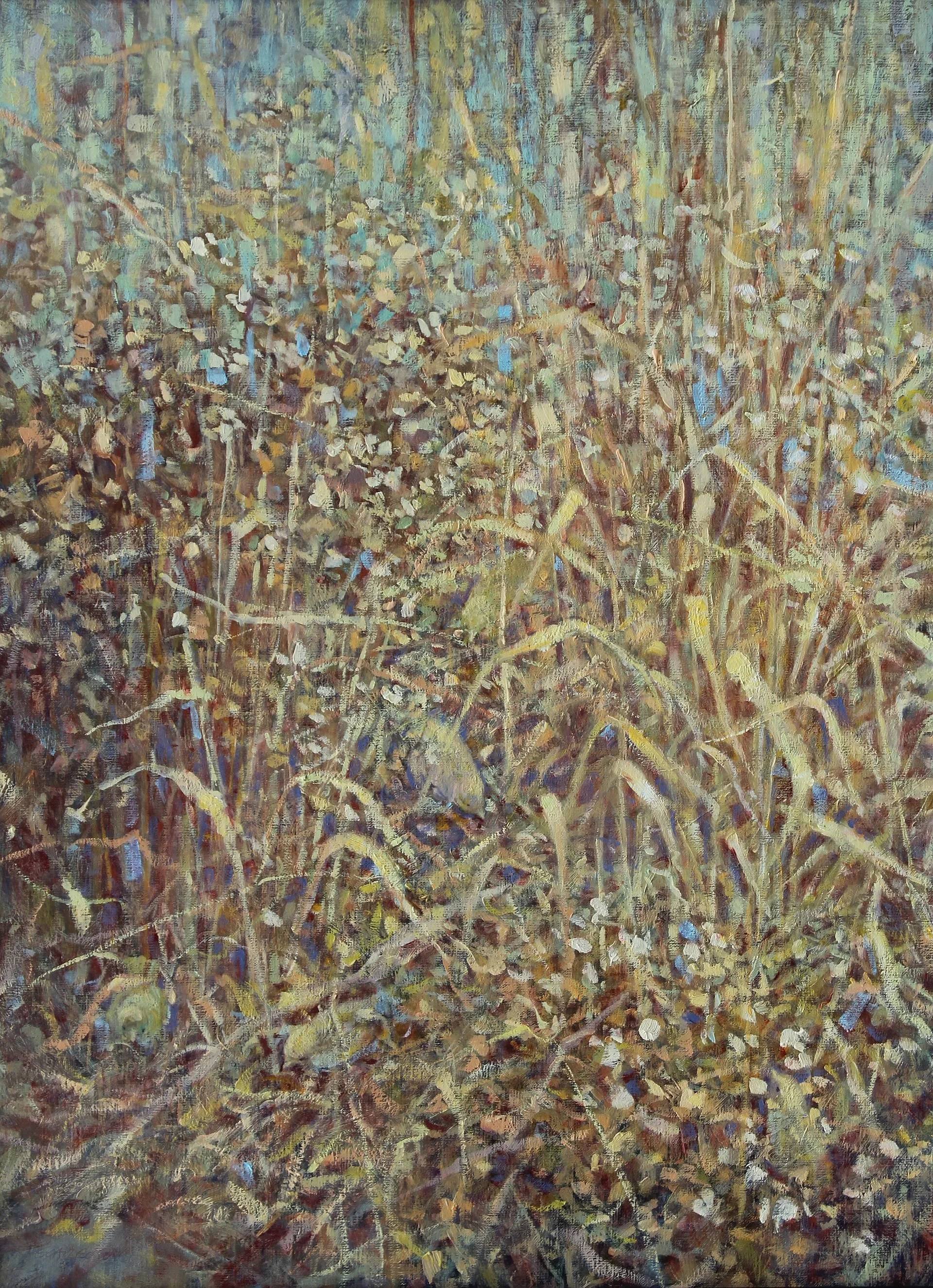 "Winter Garden" (With 5 Sparrows)
©Patricia Scarborough
Even though it is winter, gardens are full of life and subtle color.
20x16  oil   $1280
patty@pscarborougharts.com if you're interested
