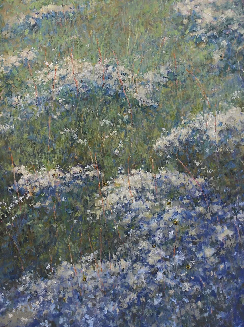 Painting of heath aster in bloom.
