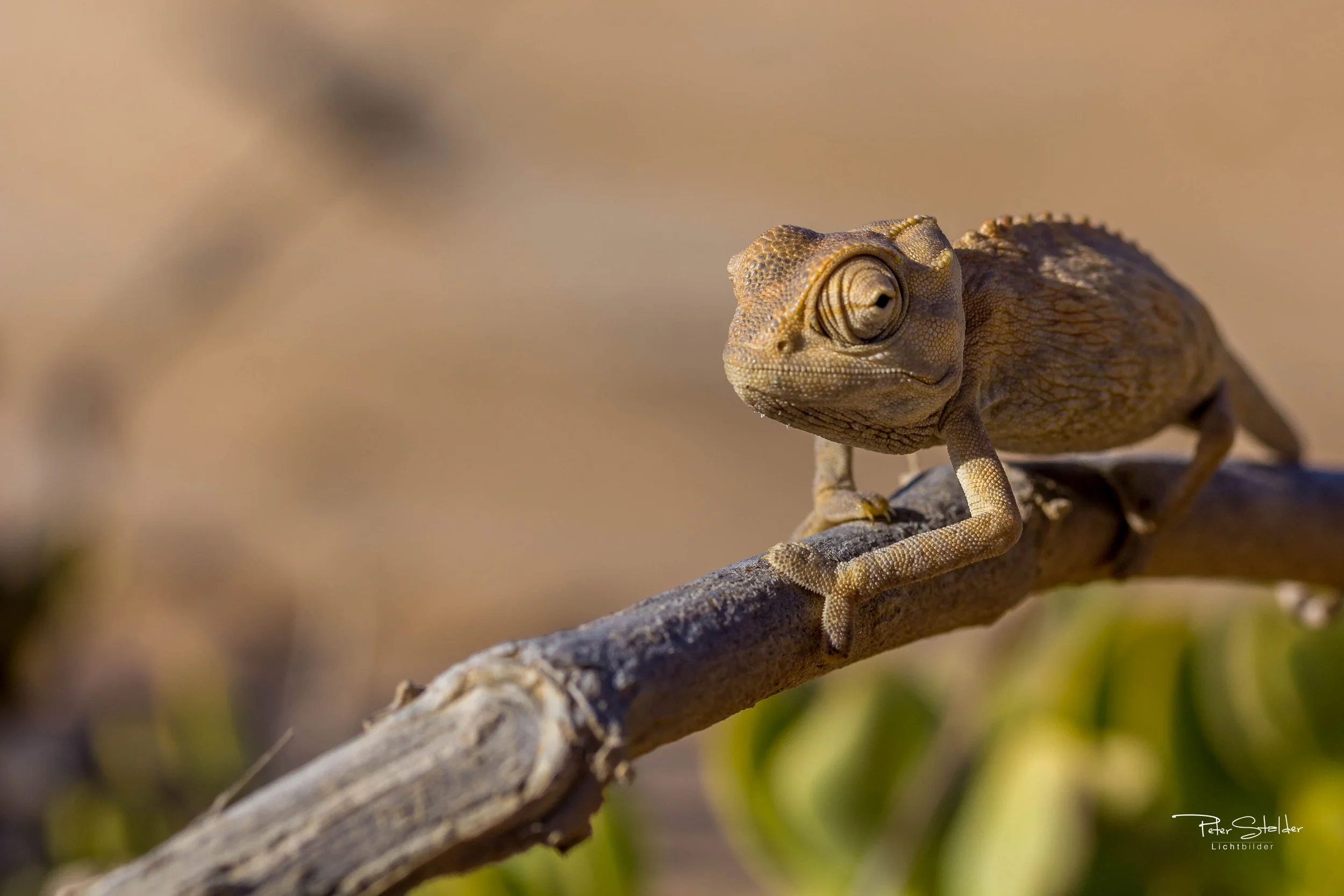 20140410_155348_canon_1477.jpg