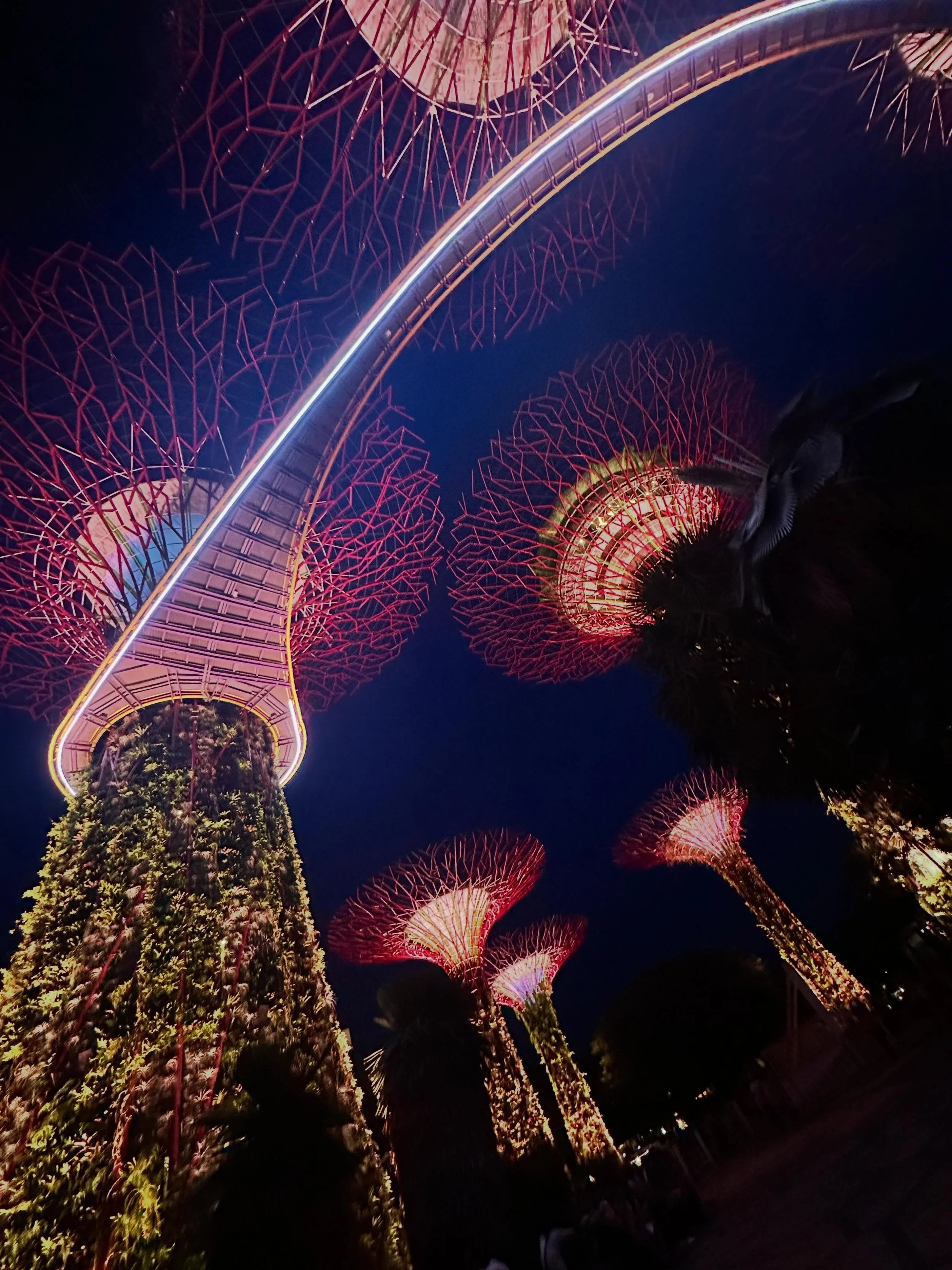 Supertree Forest