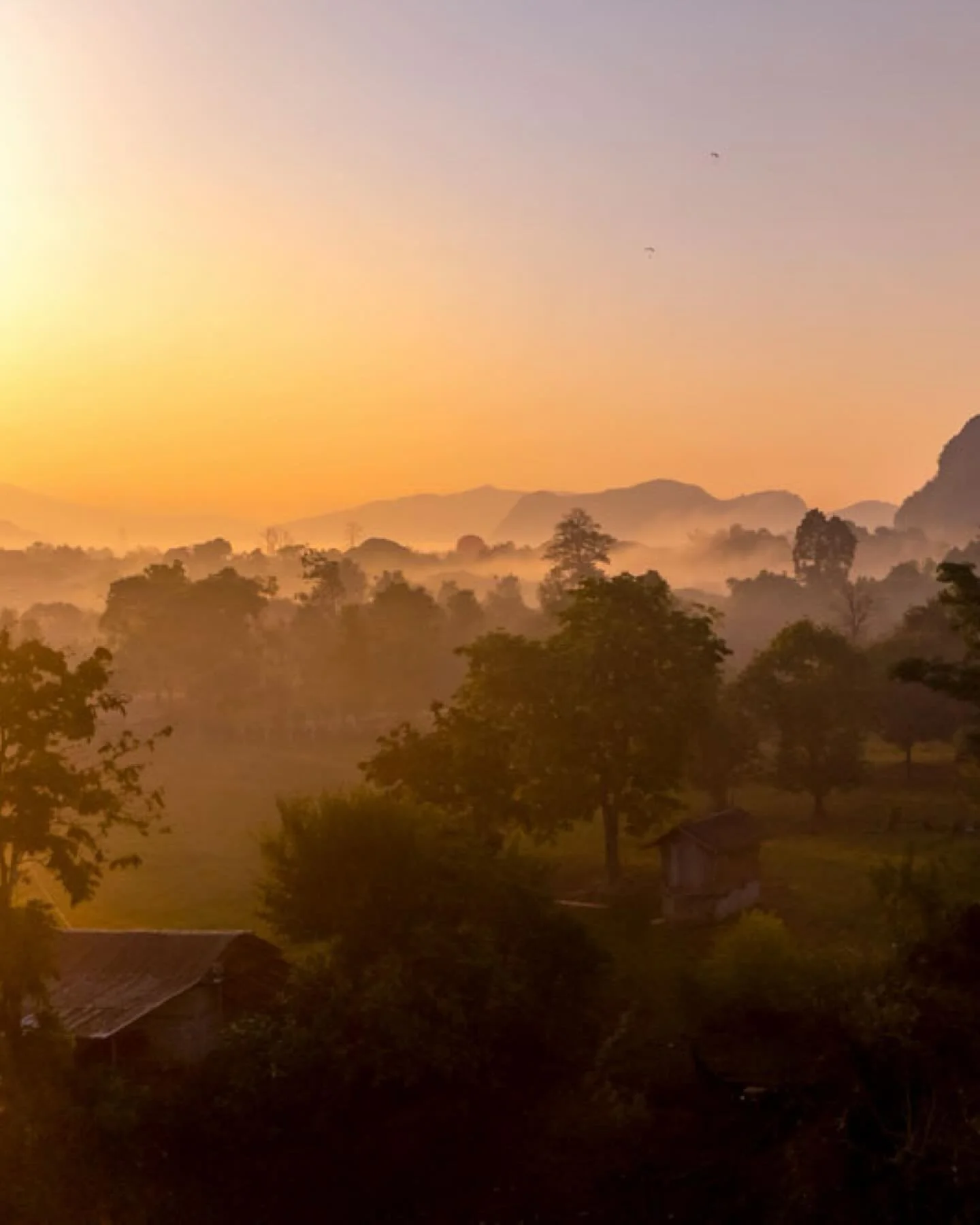 Vang Vieng Vibes

Vang Vieng ist Liebe auf den ersten Blick. Farben, die man kaum festhalten kann.

Vor allem die Sonnenaufg&auml;nge mit Nebel sind einfach next level. Ruhe, Weite und richtig gute Vibes. Ein Ort, der dazu einl&auml;dt, ein paar Tage