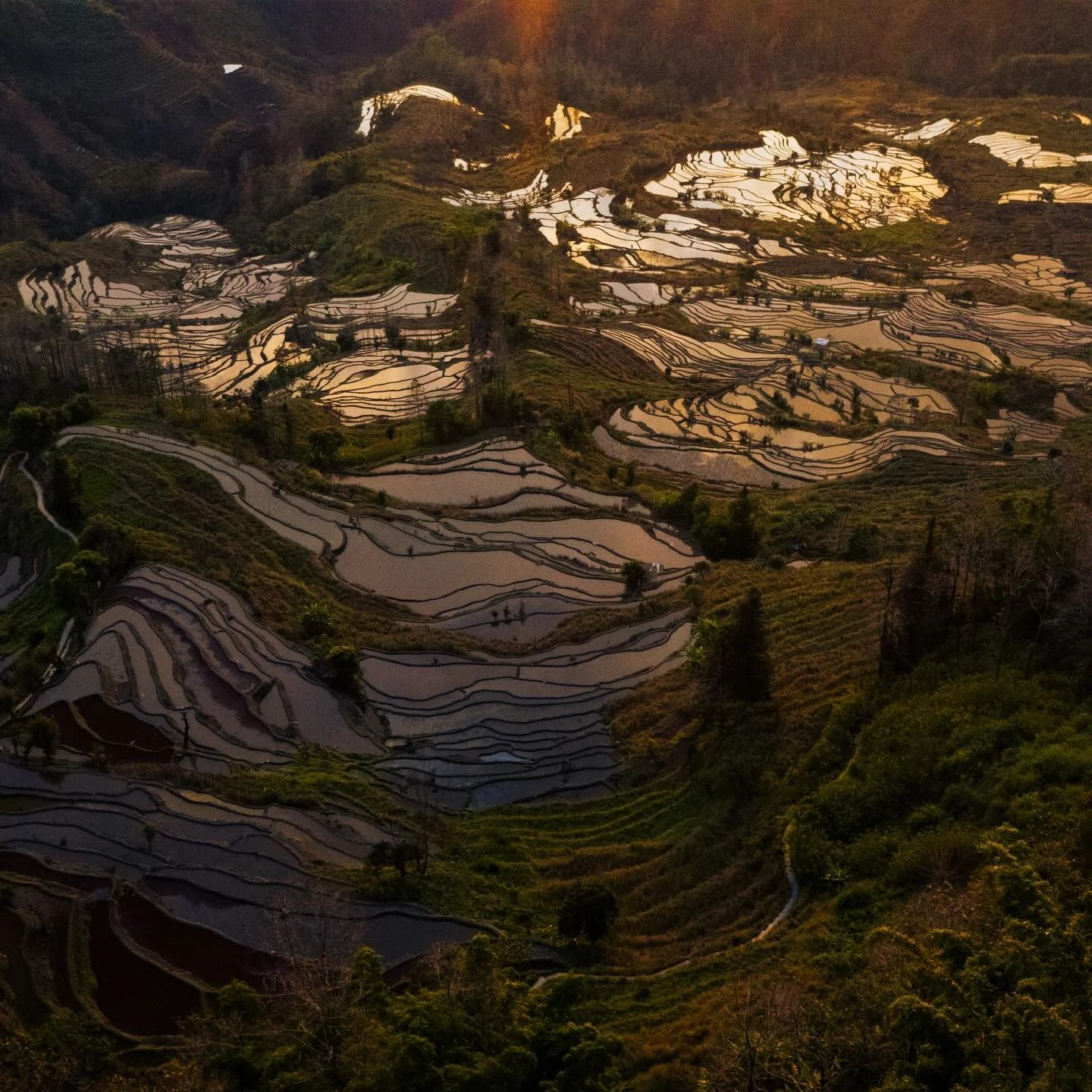 Yuanyang Rice Terrace

Wir sind in S&uuml;dostasien angekommen und unterwegs im Gebiet von Yuanyang. Die Reisfelder hier sind einfach unglaublich.

Terrassen ziehen sich Stufe f&uuml;r Stufe die Berge hinauf, &uuml;ber Generationen von Hand geformt. 