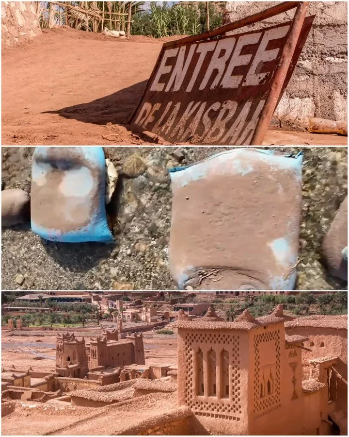 Zur&uuml;ck in Marokko 🇲🇦 

Transafrica war nicht unsere erste Wahl. Aber nachdem wir Frieda von Malaysia nach Hamburg &uuml;berf&uuml;hrt hatten, brachten wir es nicht &uuml;bers Herz, sie noch einmal &uuml;ber den n&auml;chsten Teich zu schippern