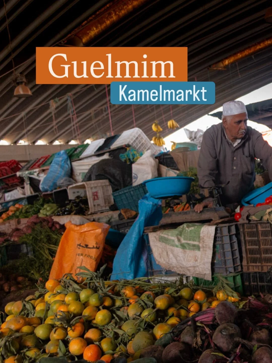 Guelmim Kamelmarkt