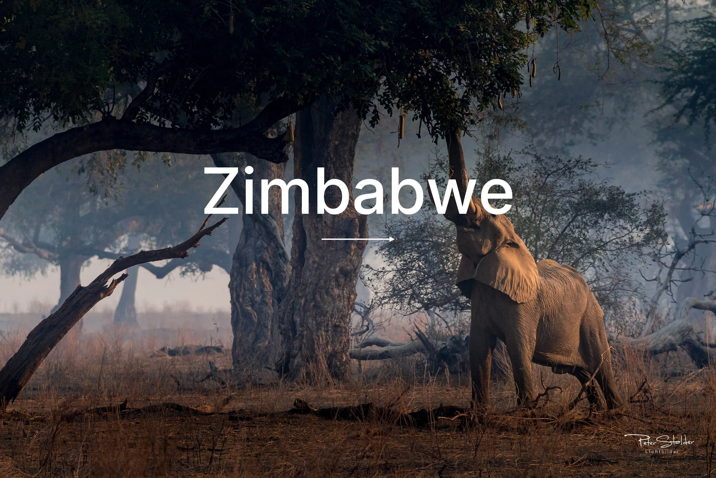 G-Zimbabwe.jpg