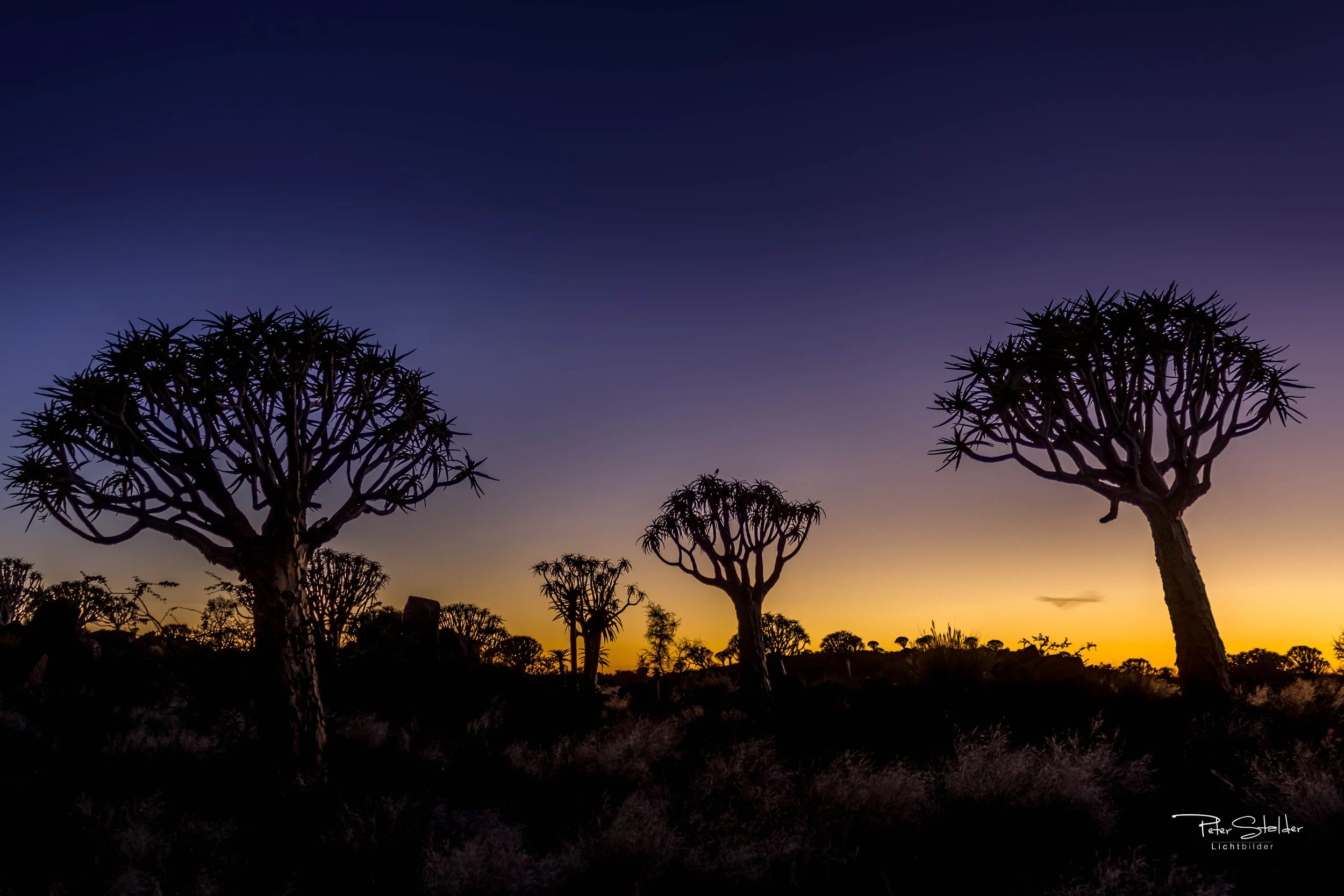 20140402_054202_canon_0637-HDR.jpg