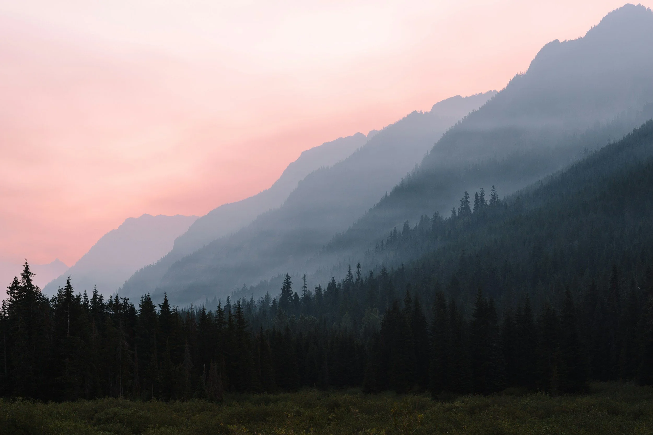 A misty mountain range with layers of dark green trees in the foreground and softer, bluish mountains in the background under a pinkish sky.
