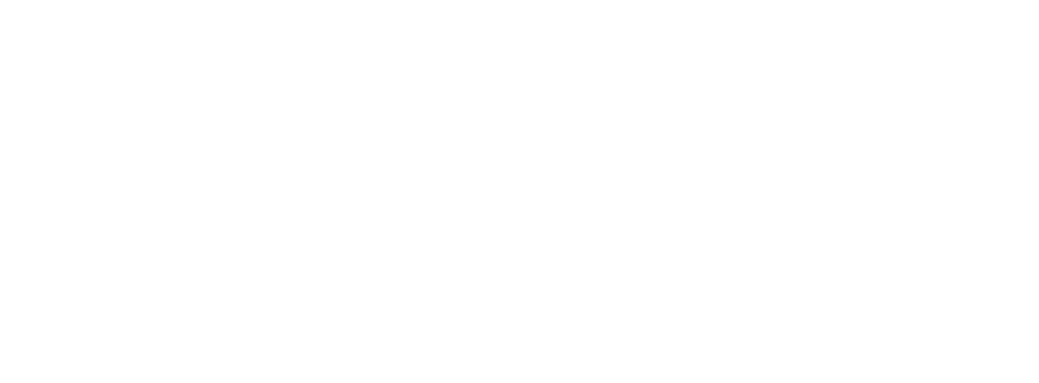 Solebury Home Watch Services, LLC