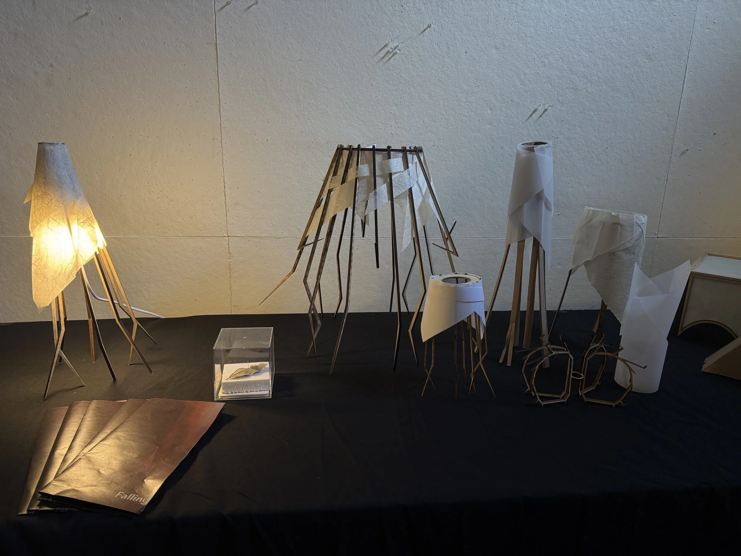 IMG_7983.jpeg