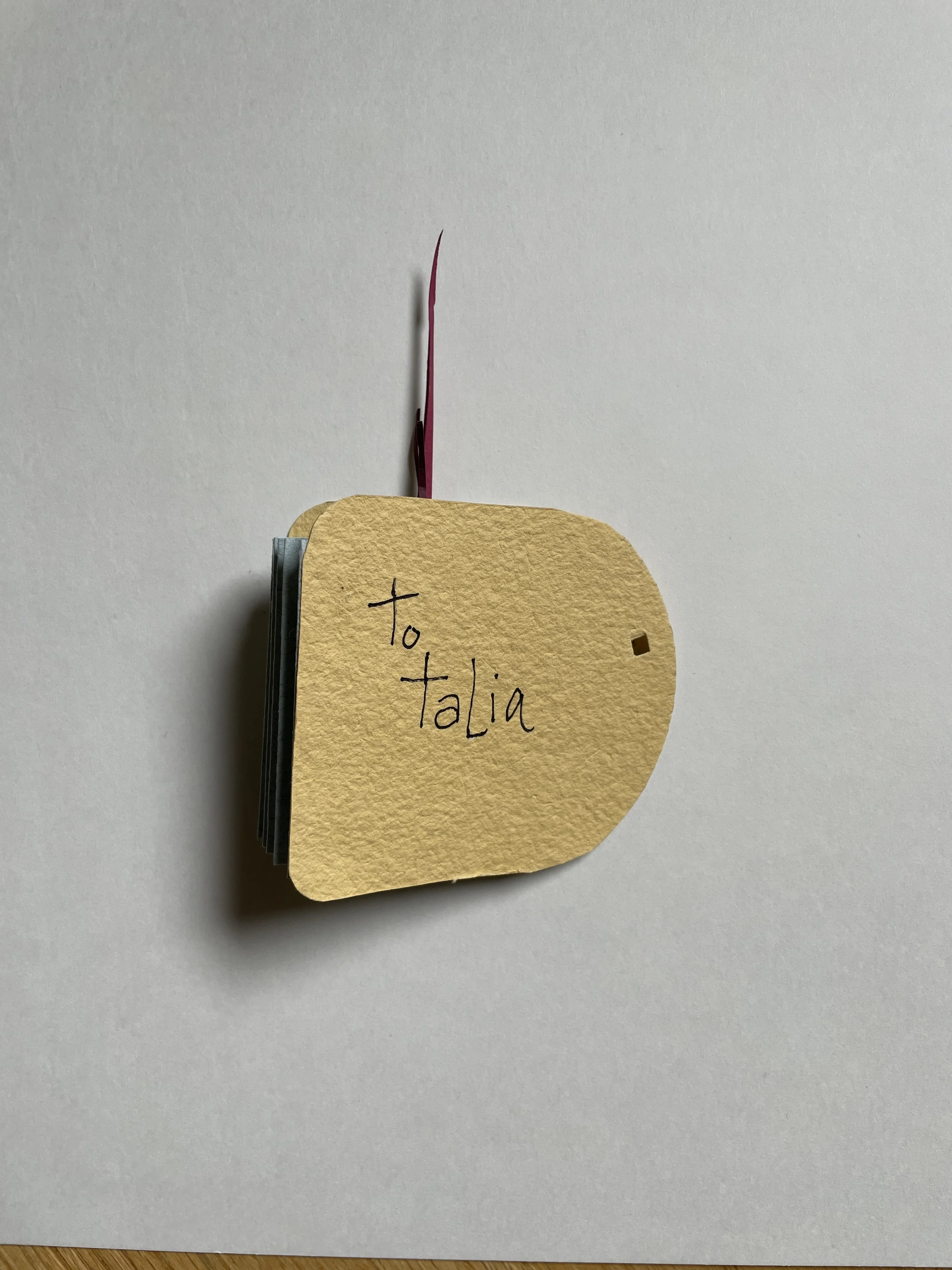 A stack of small notebooks with a beige paper tag attached, written in black ink is visible. The tag reads "To Talia" and is attached with a pink string. The notebooks are placed on a white surface.