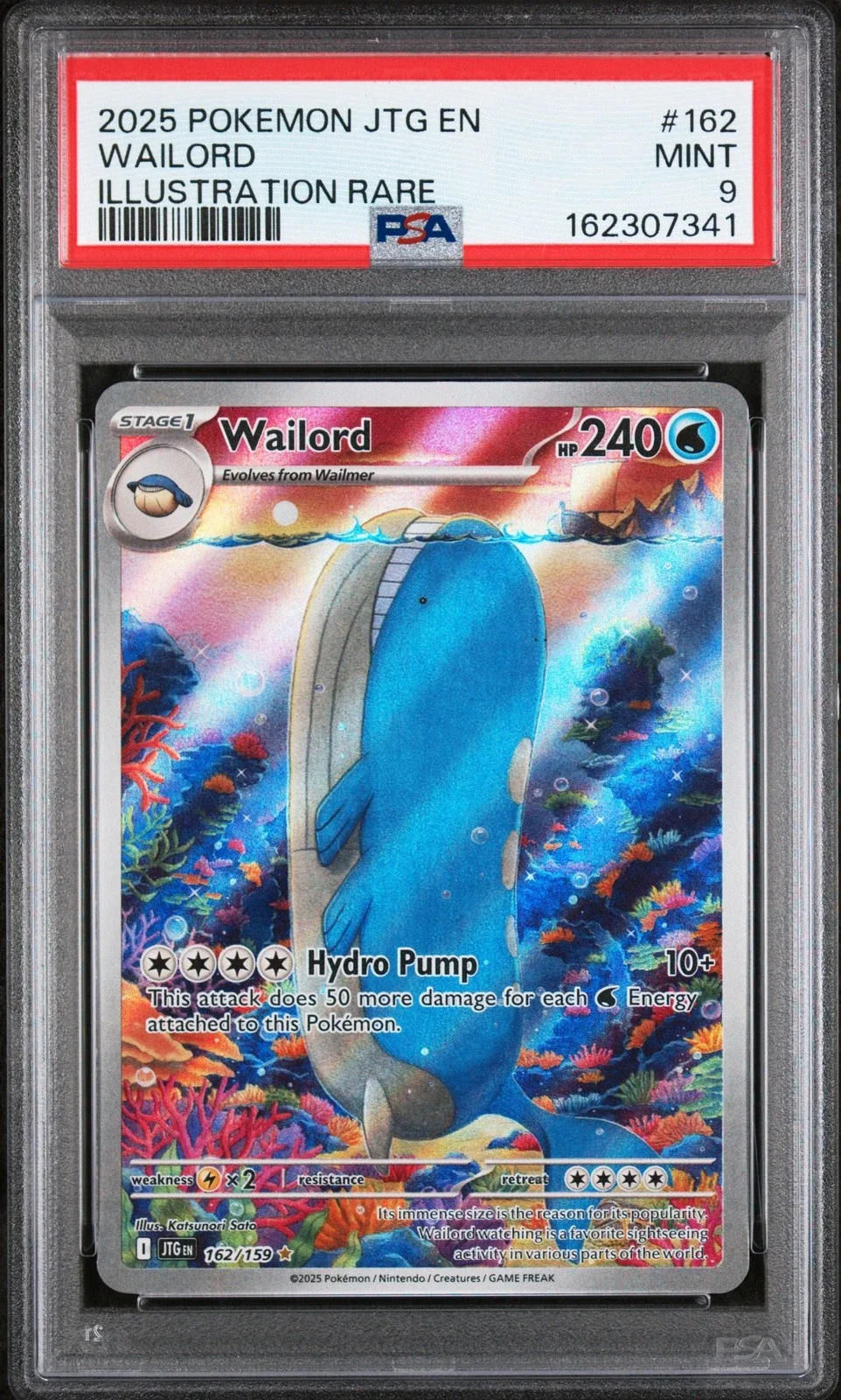 wailord.webp