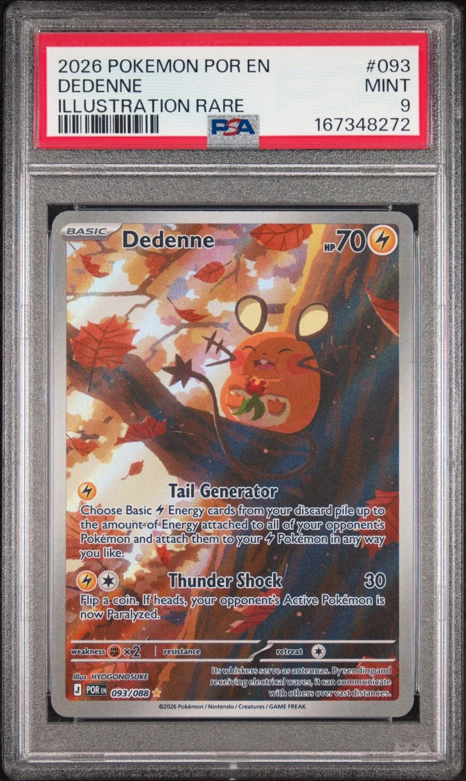 dendenne.webp