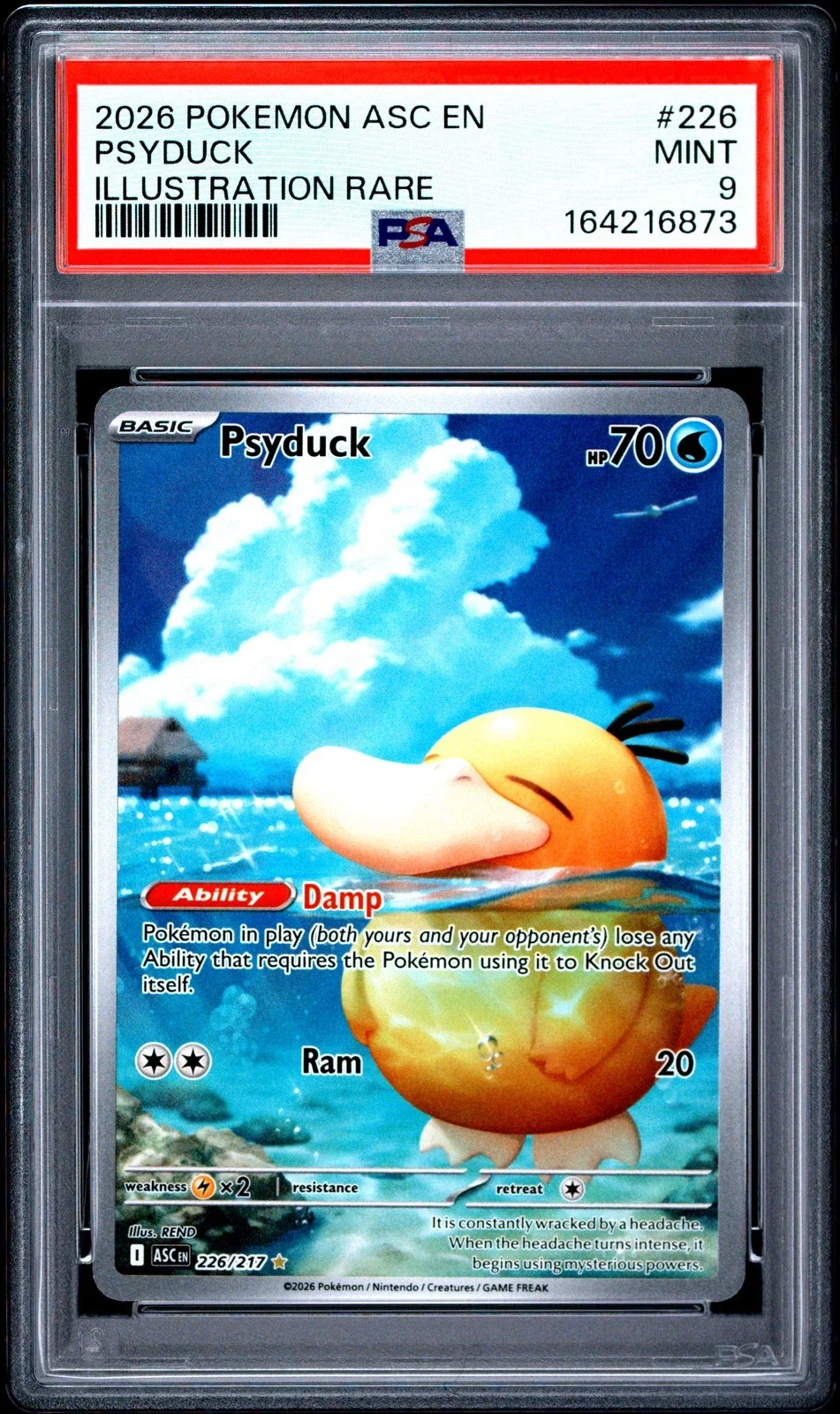 s-l1600 (7).webp