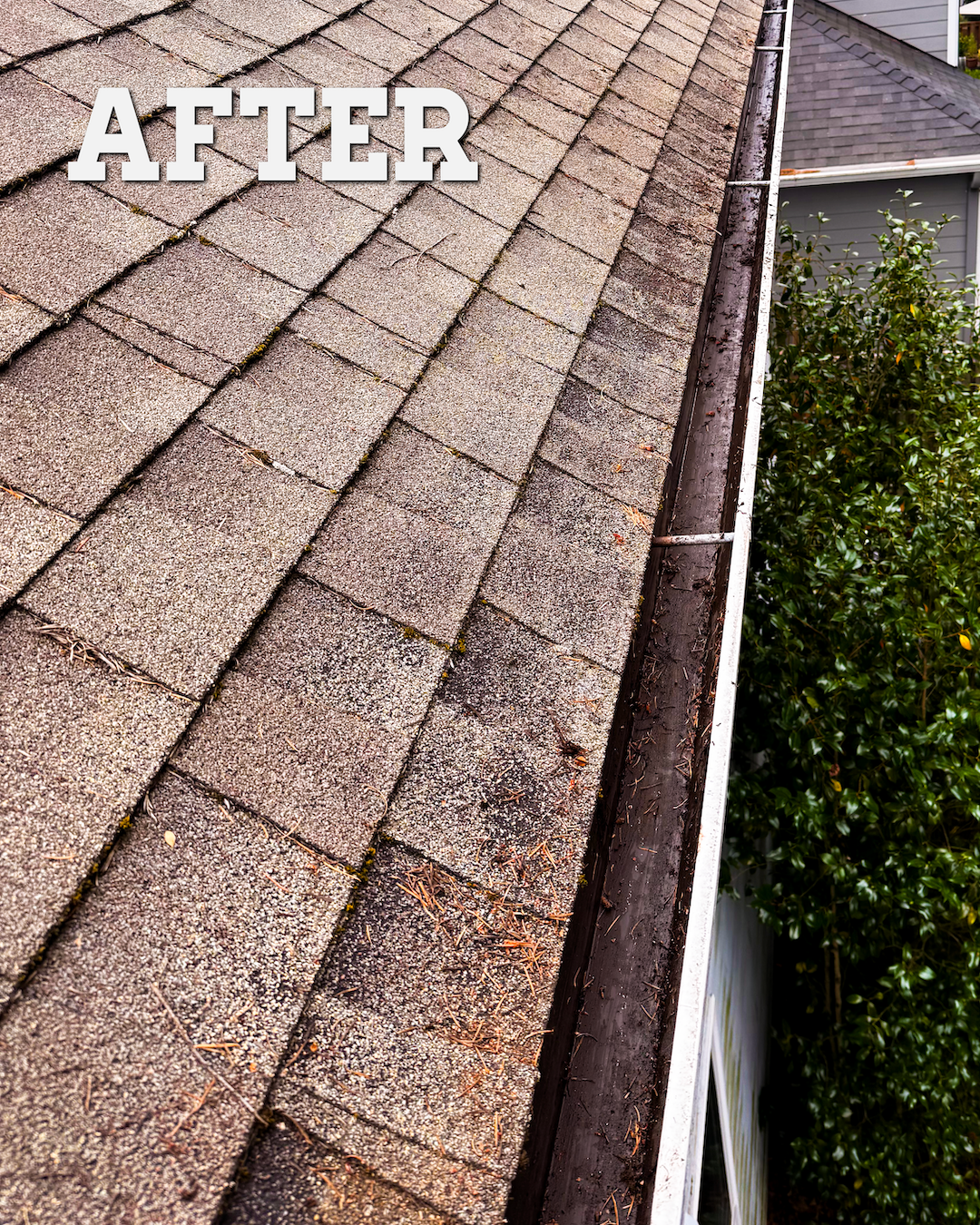 Gutter Before and After_After.png