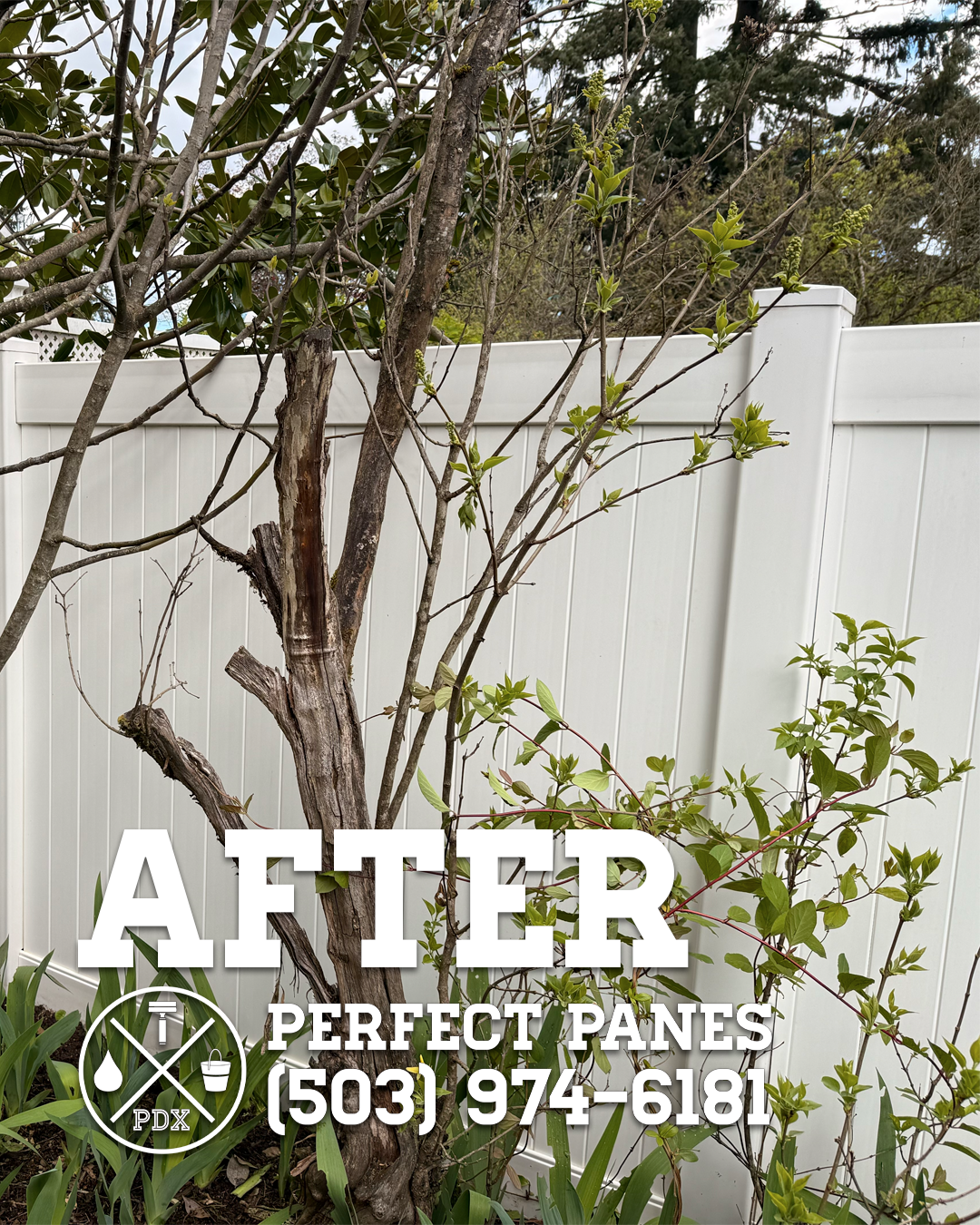 Fence 2 After 2.png
