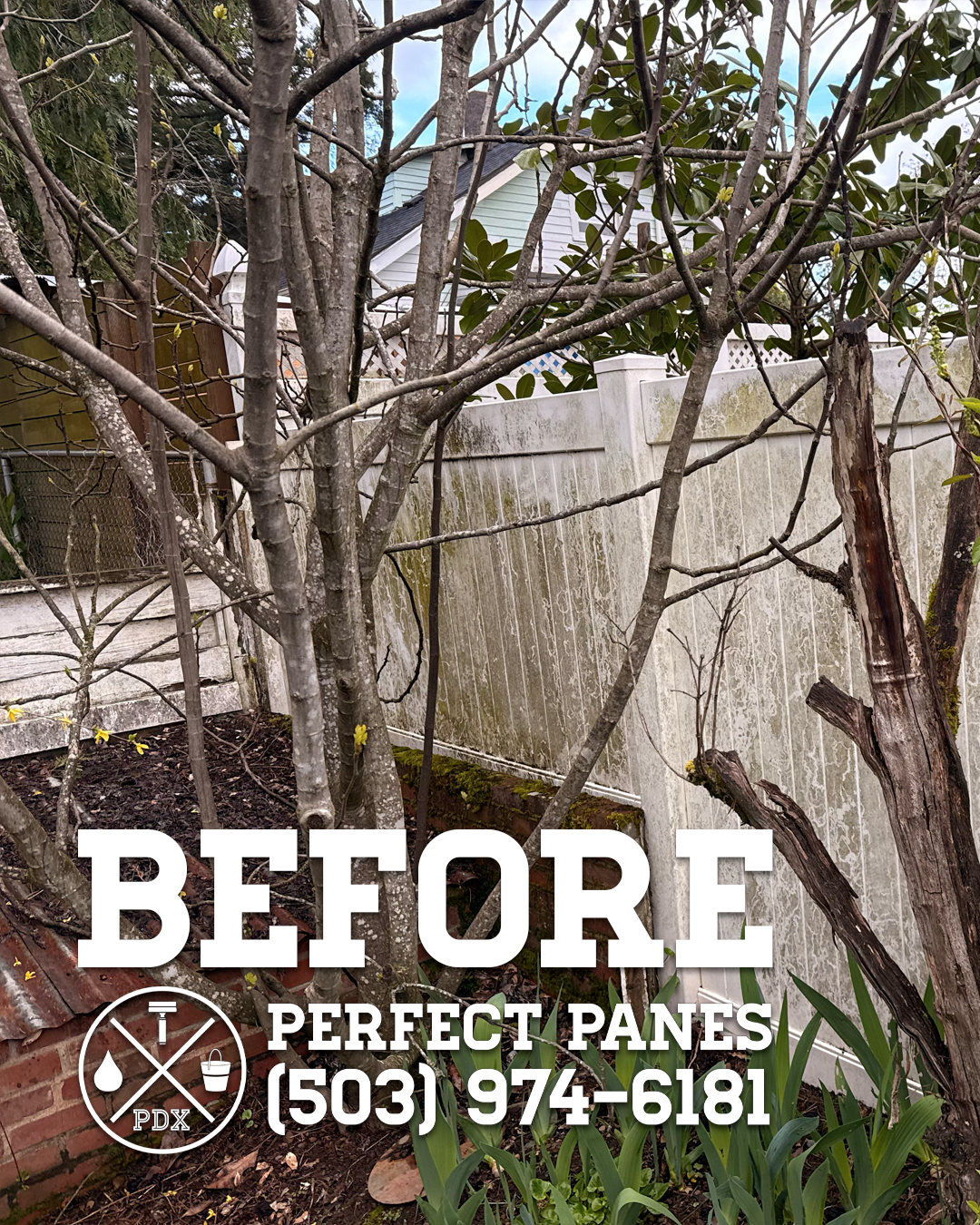 Fence 2 Before 1.png