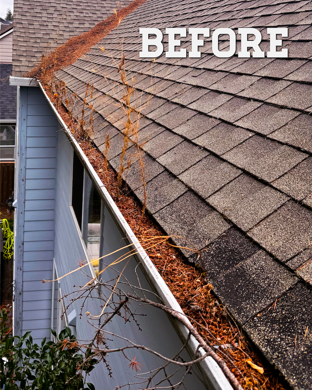 Gutter Before and After_Before.png