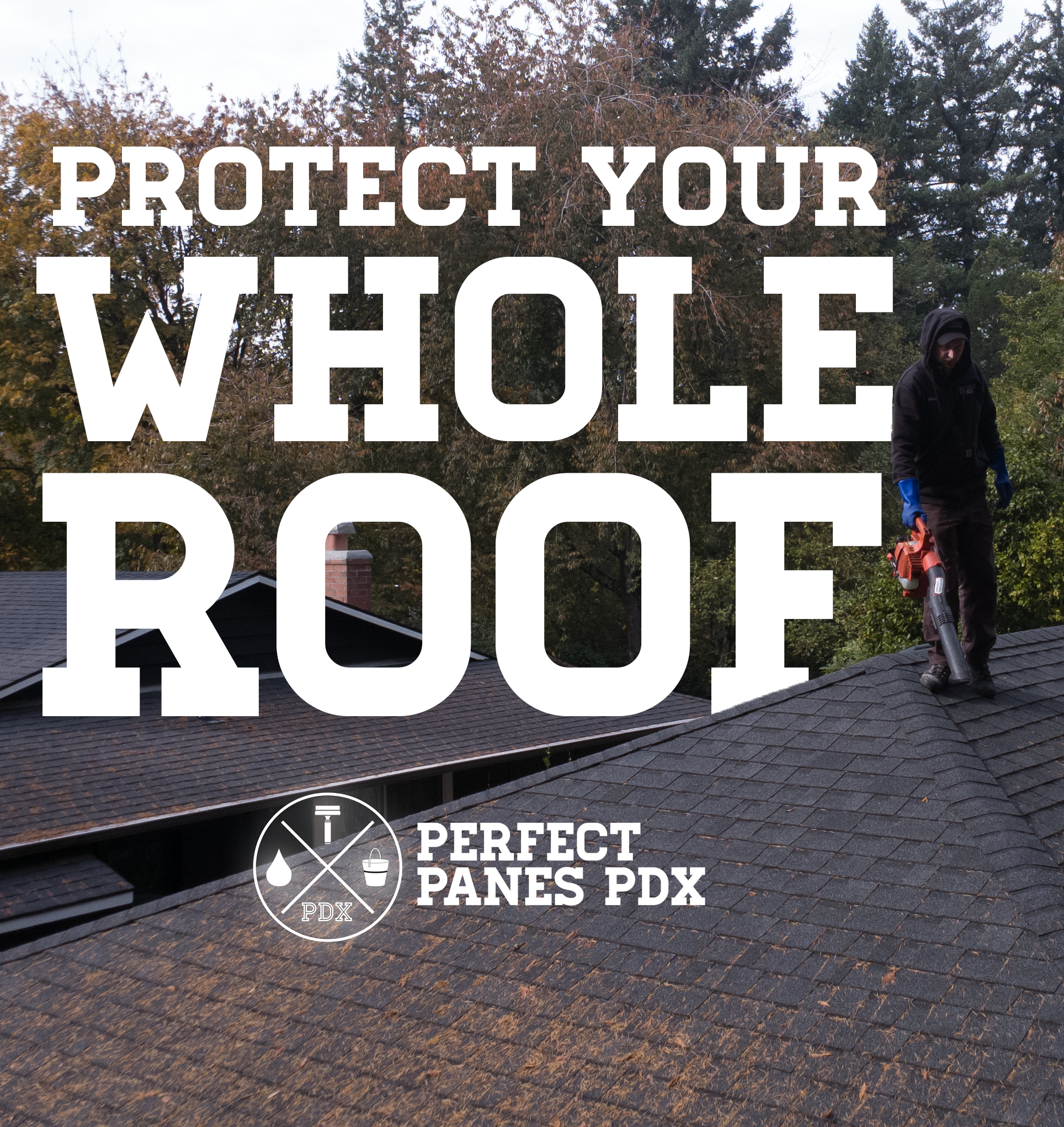 Whole Roof.png