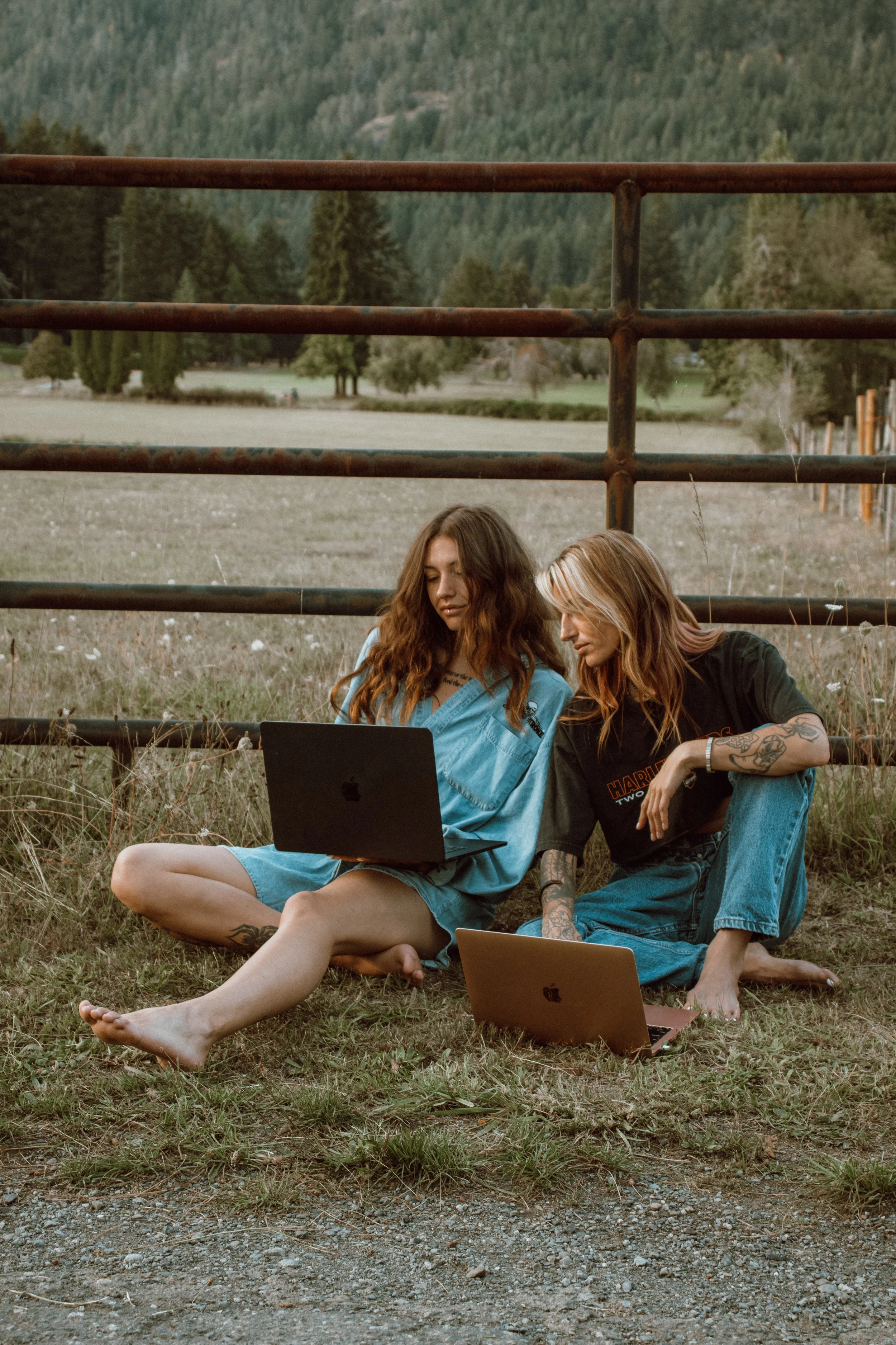 Two women sitting on the grass outdoors behind a rusty metal fence, looking at laptops. One woman has long red hair, tattoos, and is wearing a black t-shirt and jeans; the other has long wavy brown hair, tattoos, and is wearing a blue dress. In the background, there are trees, a field, and forested hills.