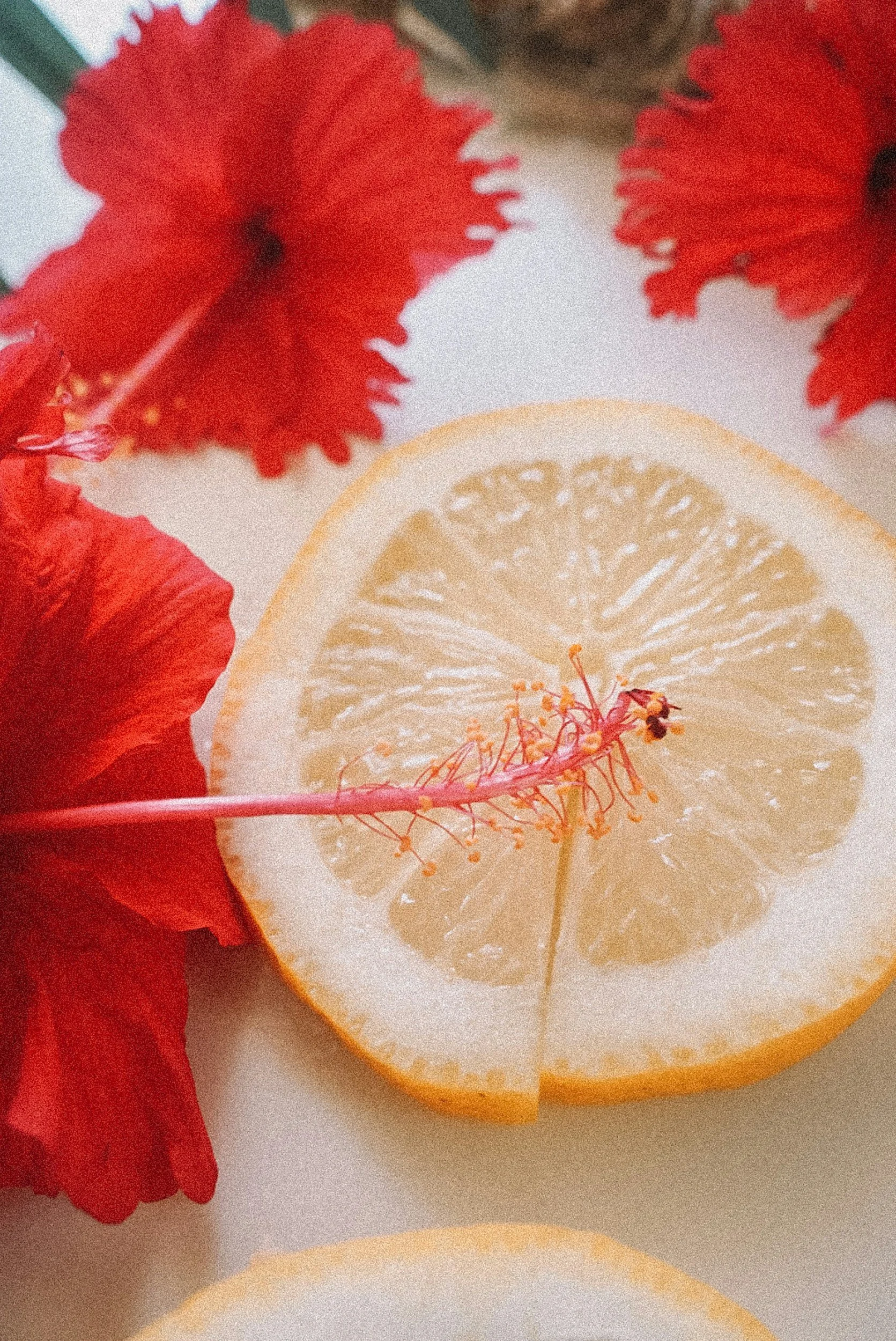unsplash-image-CIn5IIY9VEI.jpg