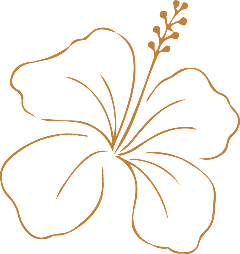 A minimalist line drawing of a hibiscus flower.