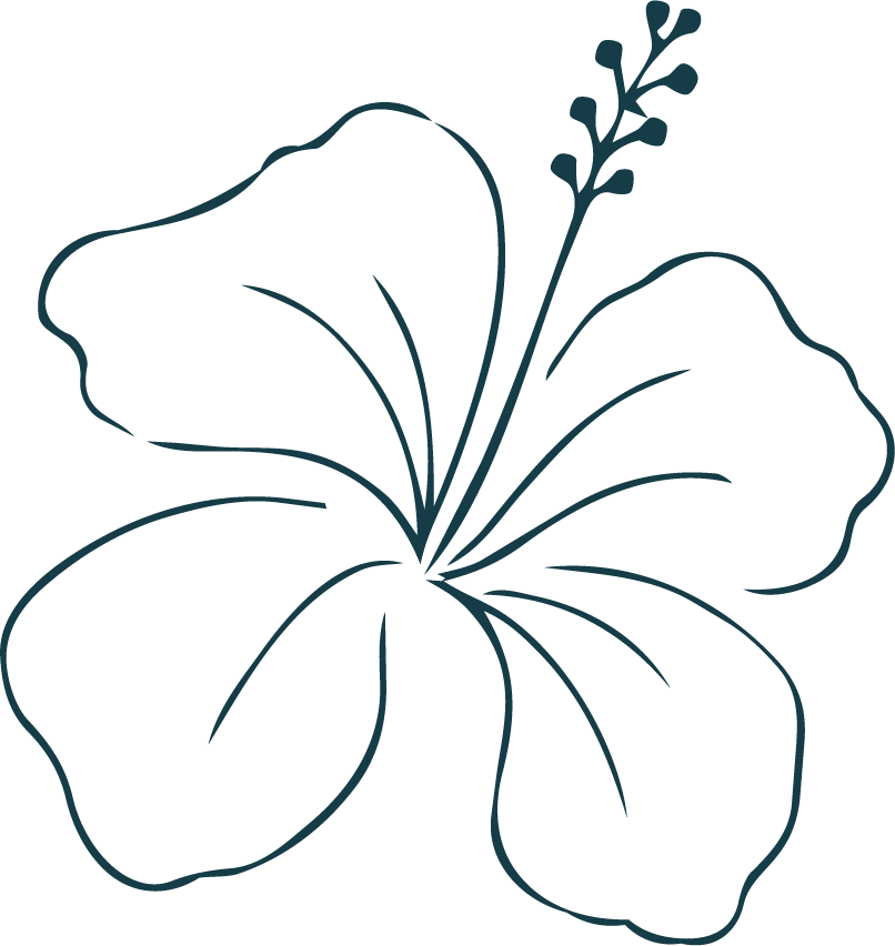 Hibiscus flower