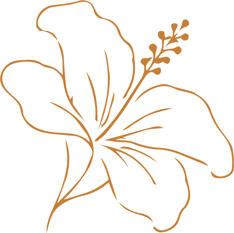 Hibiscus flower