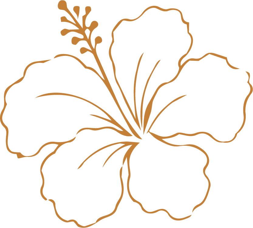 Hibiscus flower