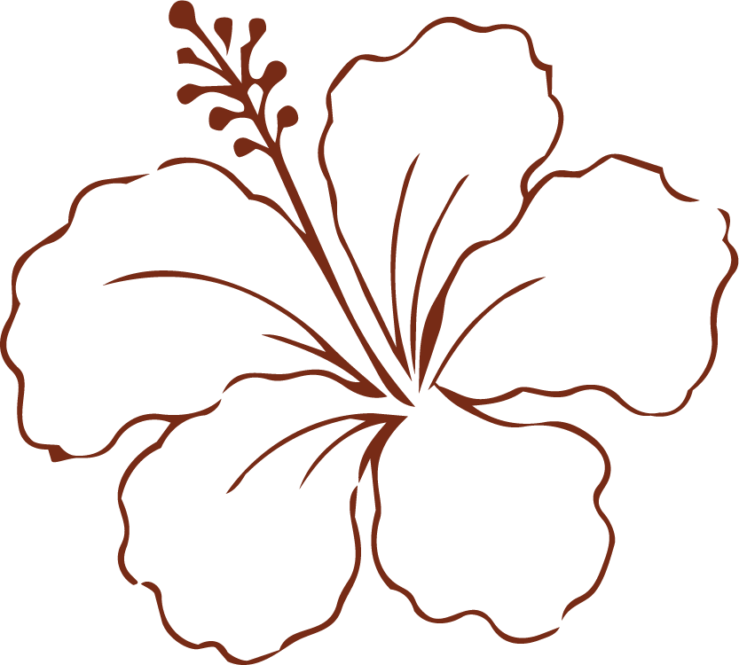 Hibiscus flower