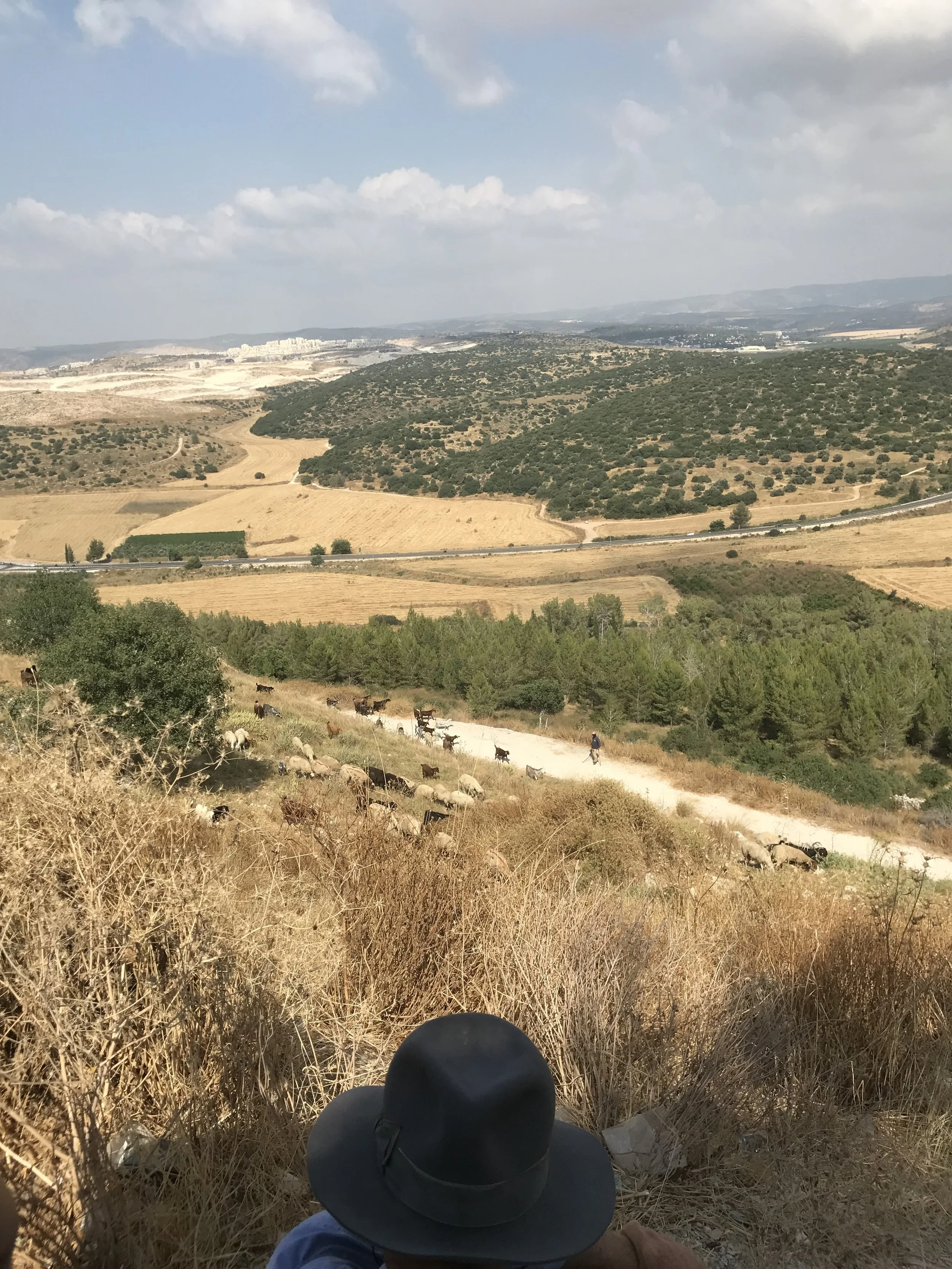 Person wearing a wide-brimmed hat sitting on a hillside overlooking a rural landscape with fields, trees, hills, and a distant city skyline under a partly cloudy sky.