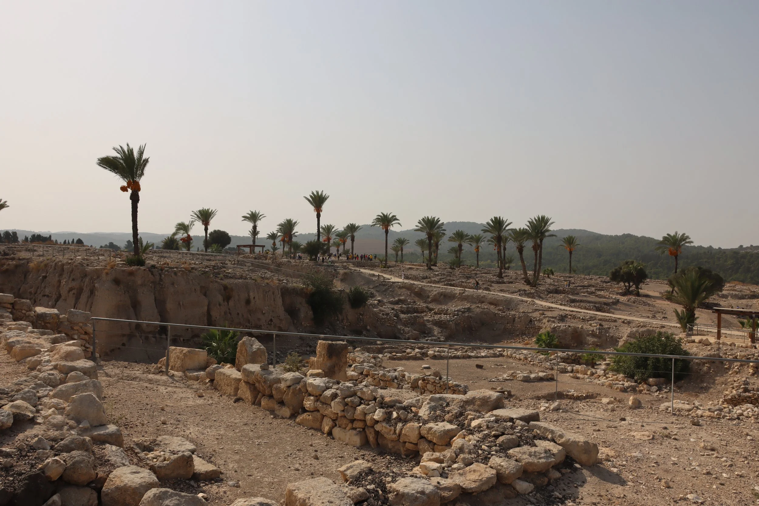 Ancient archaeological site with stone ruins and pathways, palm trees, and hills in the background under a cloudy sky.