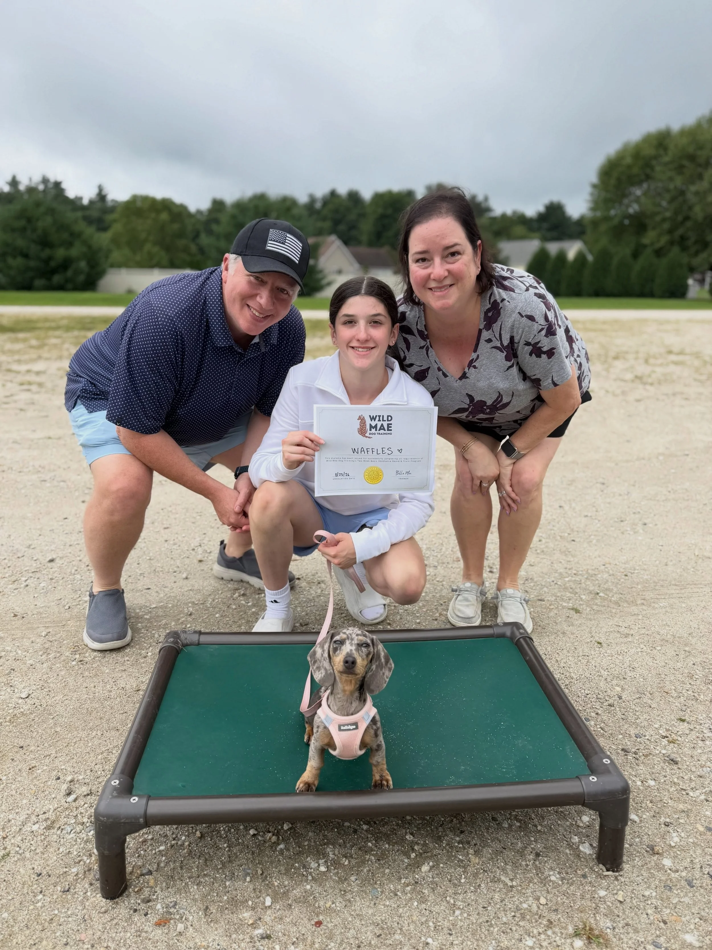 HAPPY GRADUATION WAFFLES!! 🥹🎓🤍

Waffles came to me on June 26th and today she officially got to go home to her amazing family!! I&rsquo;ve gotten to watch this little pup grow so much over the last 2 months and I couldn&rsquo;t be more proud of he