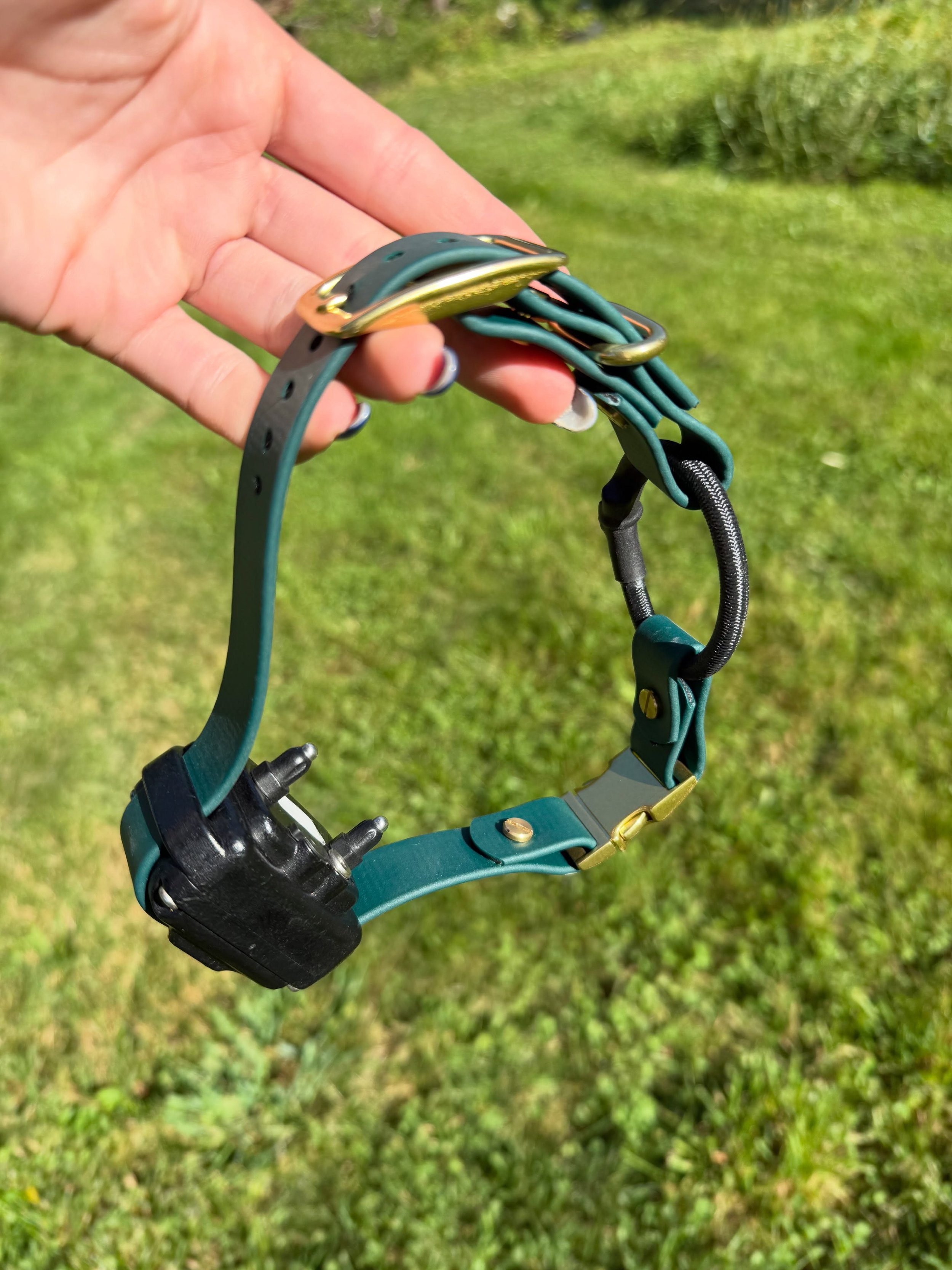 3/4&rdquo; Bungee Quick Release E-Collar Strap ✨ Now available!

Handmade by me with durable BioThane&reg; and designed to fit the Mini Educator ET-300. Comfortable, adjustable, and easy to take on and off with the quick-release buckle.

Shop now thr