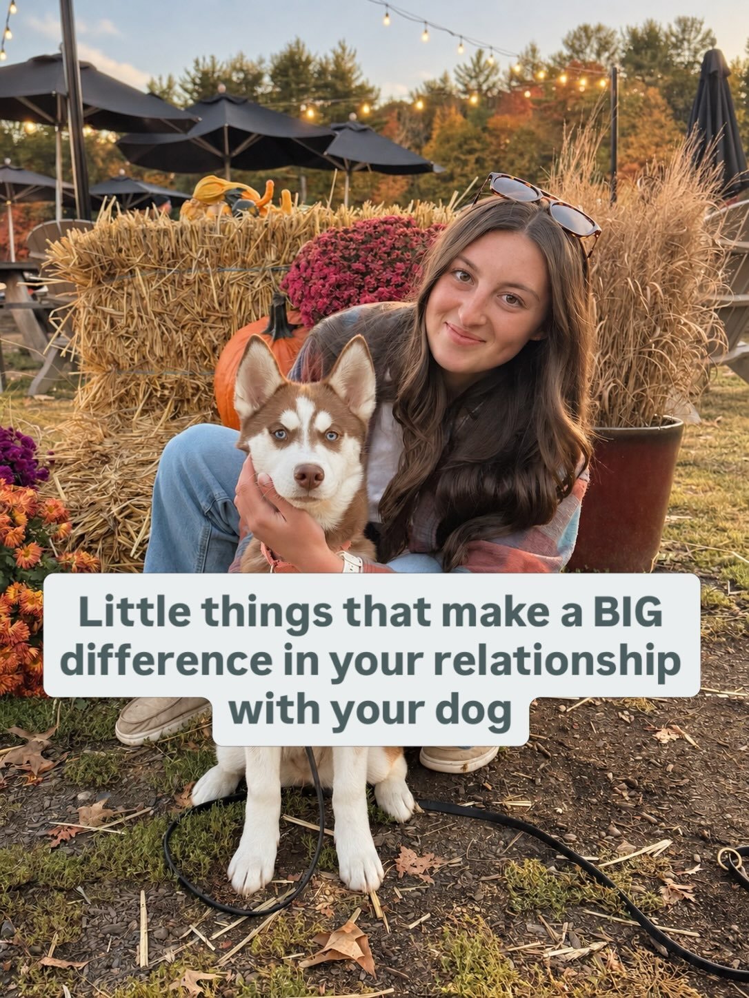 The little things add up ✨🐾

Building a great relationship with your dog isn&rsquo;t just about teaching commands. It&rsquo;s about the everyday moments, the consistency, the trust, and learning how to communicate with each other.

You don&rsquo;t h