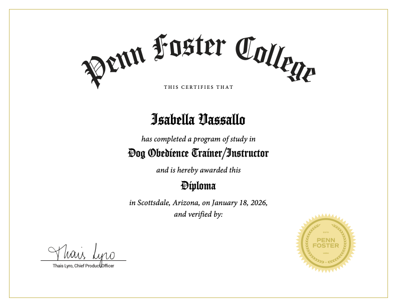 Certificate from Penn Foster College awarded to Isabella Nassallo for completing a Dog Obedience Trainer/Instructor program, dated January 18, 2026, with a gold Penn Foster seal.
