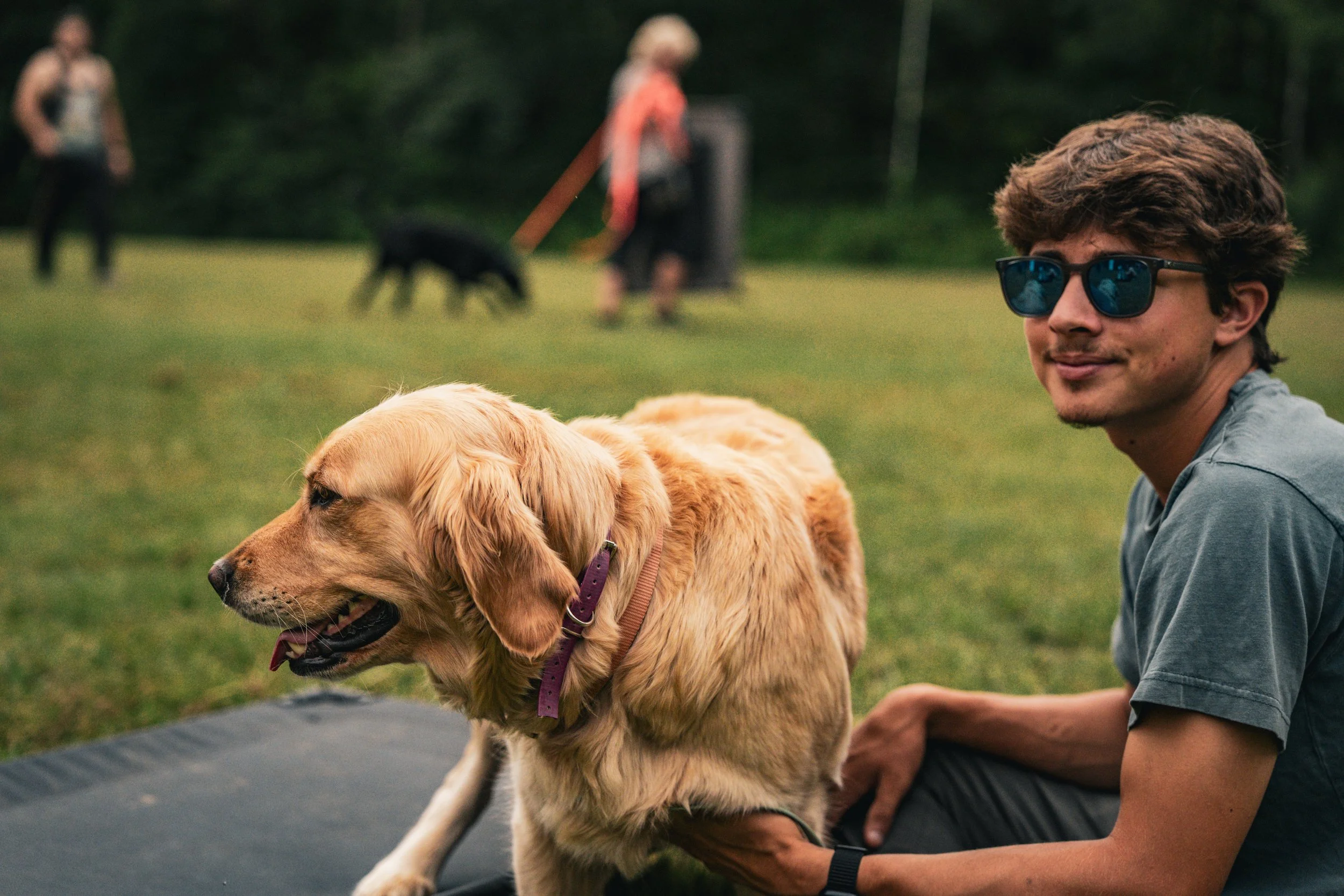 A young man wearing sunglasses and a gray t-shirt is sitting outdoors on a grassy field with a golden retriever dog in front of him. The dog has a purple collar and appears to be happy, with its tongue slightly out. In the background, two women are walking and a dog is playing on the grass.