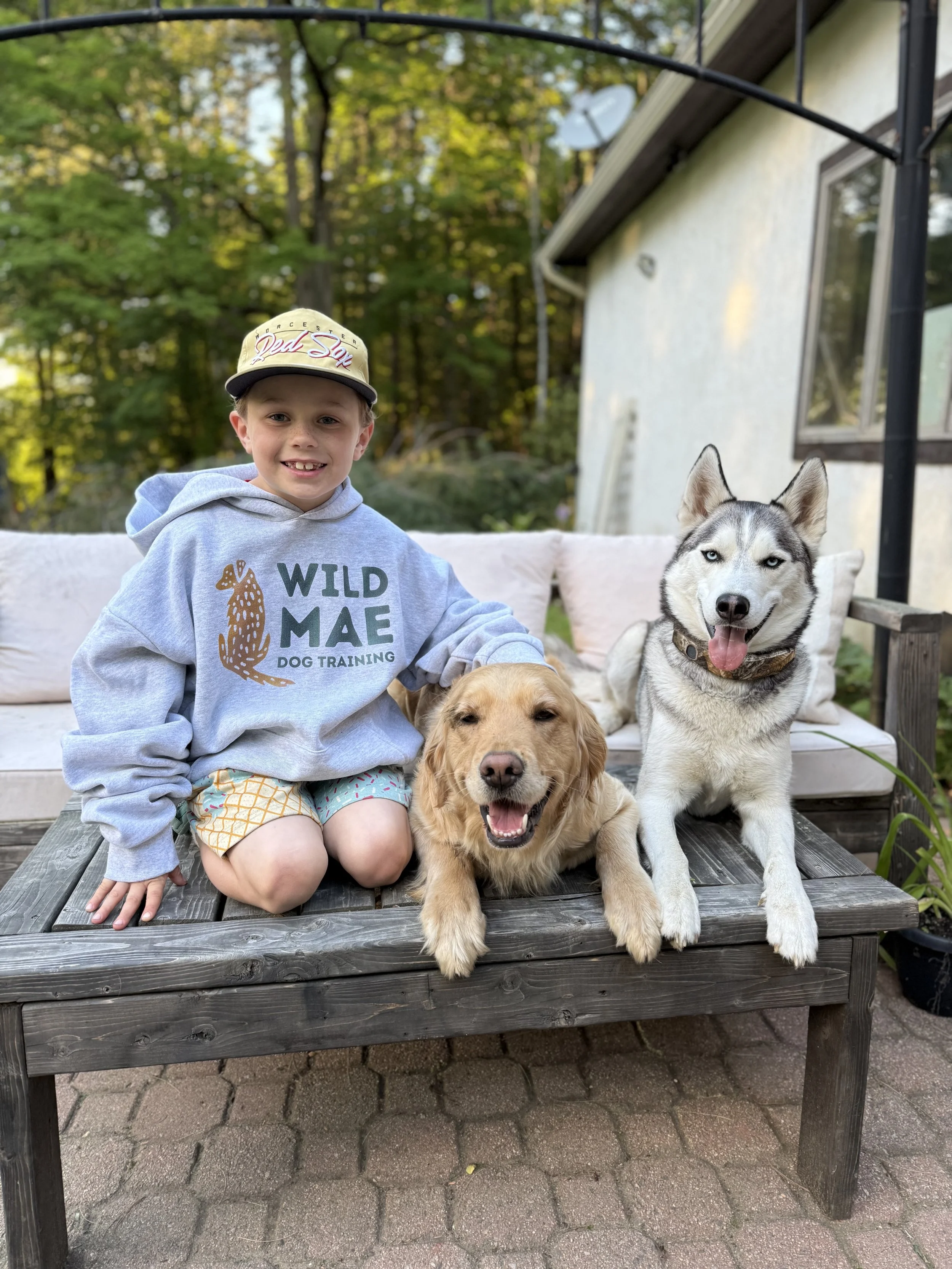 A young boy kneeling beside two dogs on a wooden bench outdoors. The boy is wearing a light gray hoodie with a dog print and text, and a beige cap. One dog is a golden retriever with its tongue out, and the other is a Siberian husky with blue eyes, b