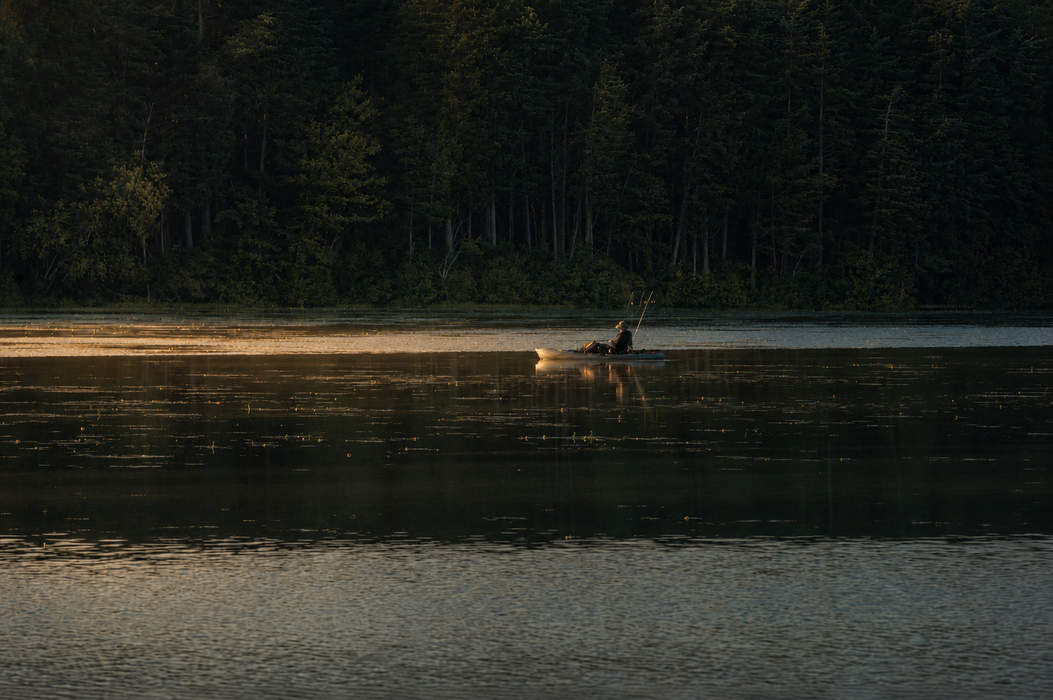 Angler fishing on a calm lake with a forested shoreline.