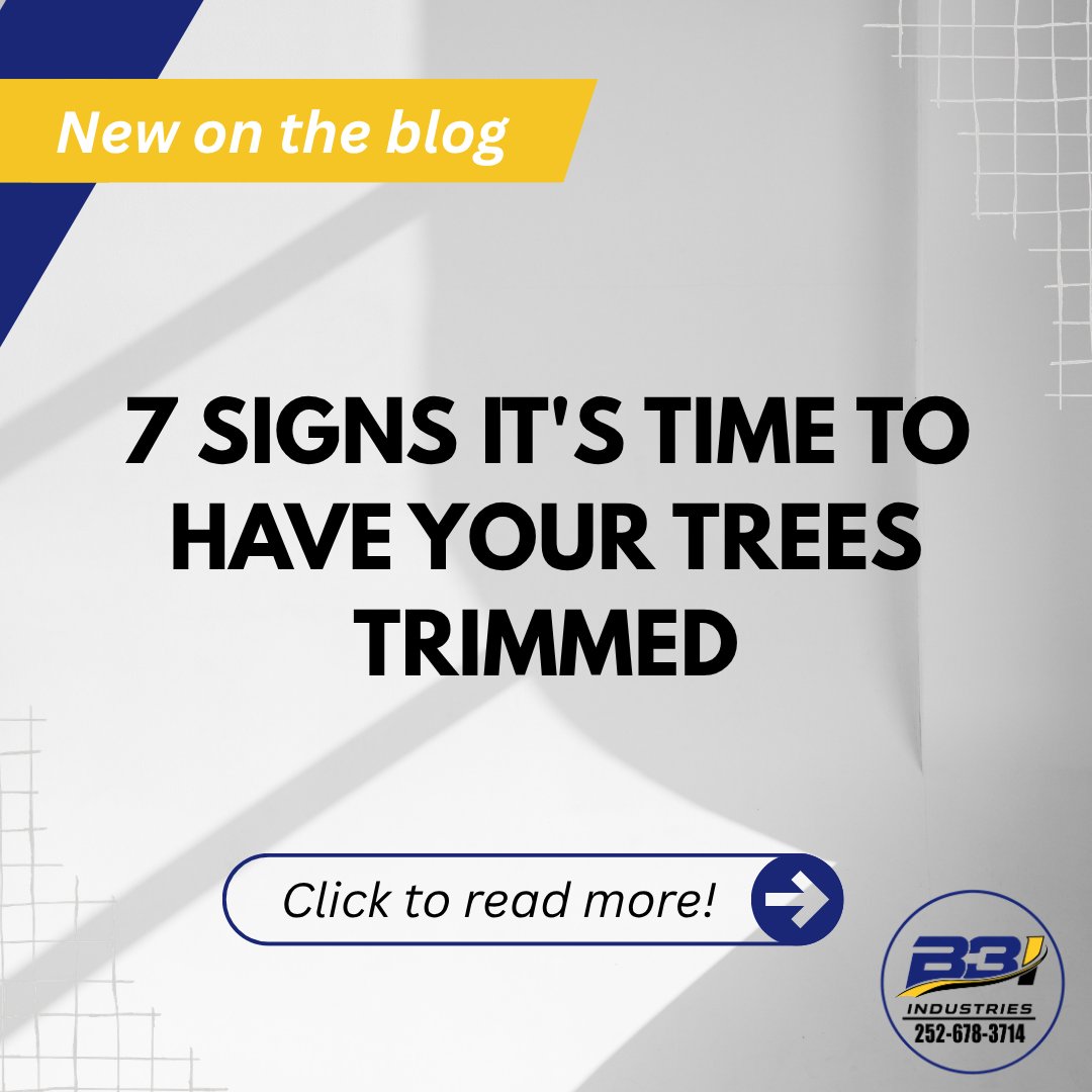 7 Signs It's Time to Have Your Trees Trimmed
